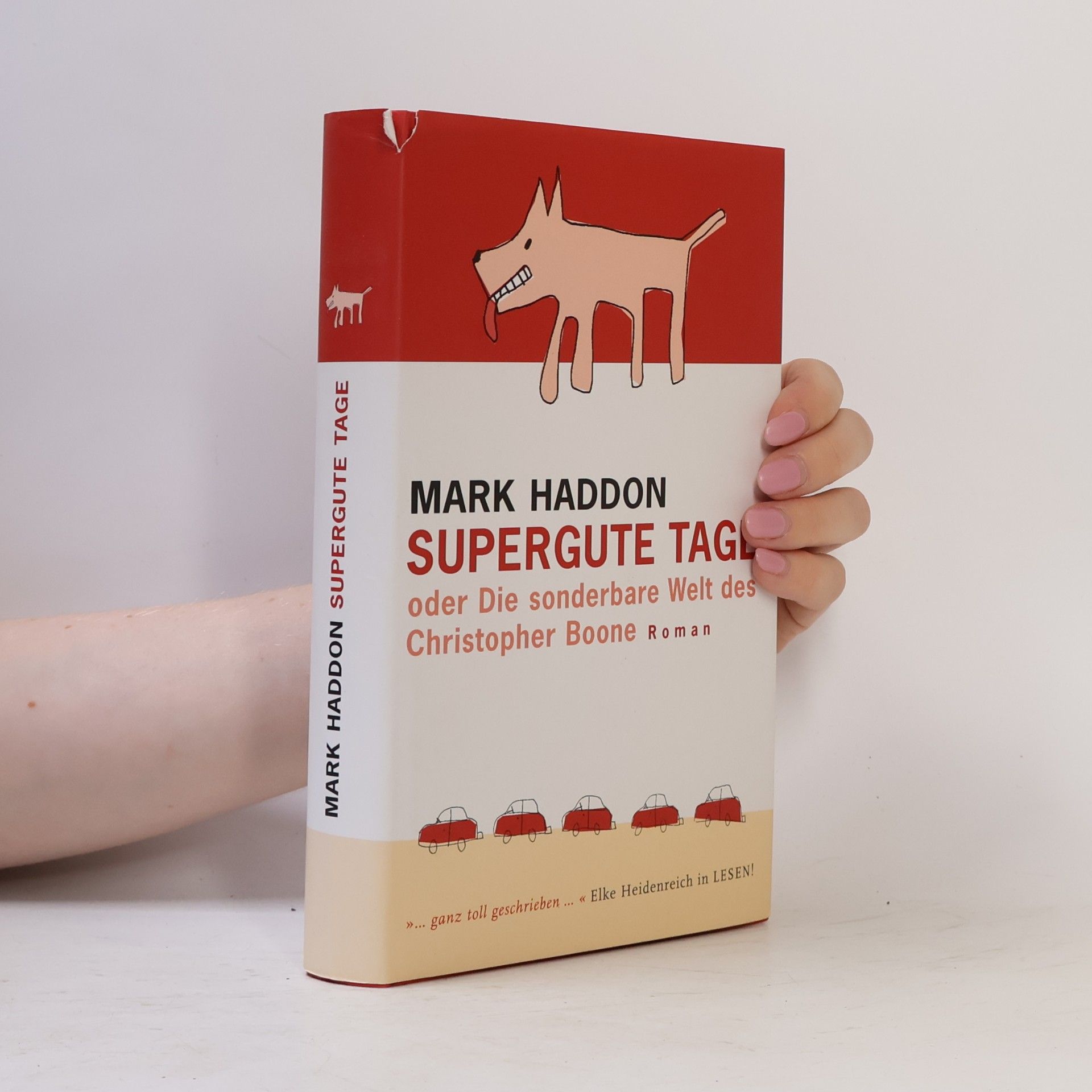 Mark Haddon Supergute Tage oder Die sondere Welt des Christopher Boone