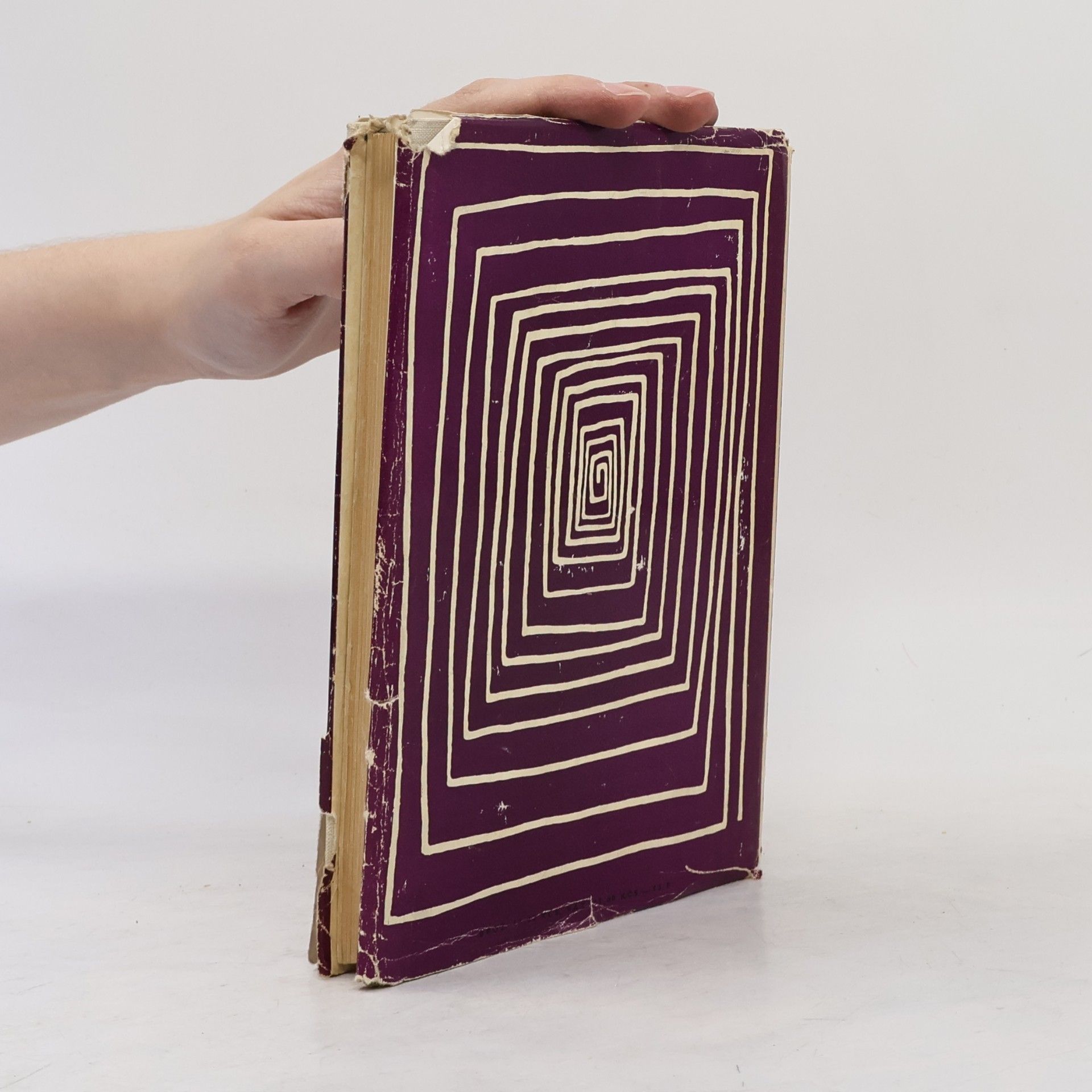 Franz Kafka Proces