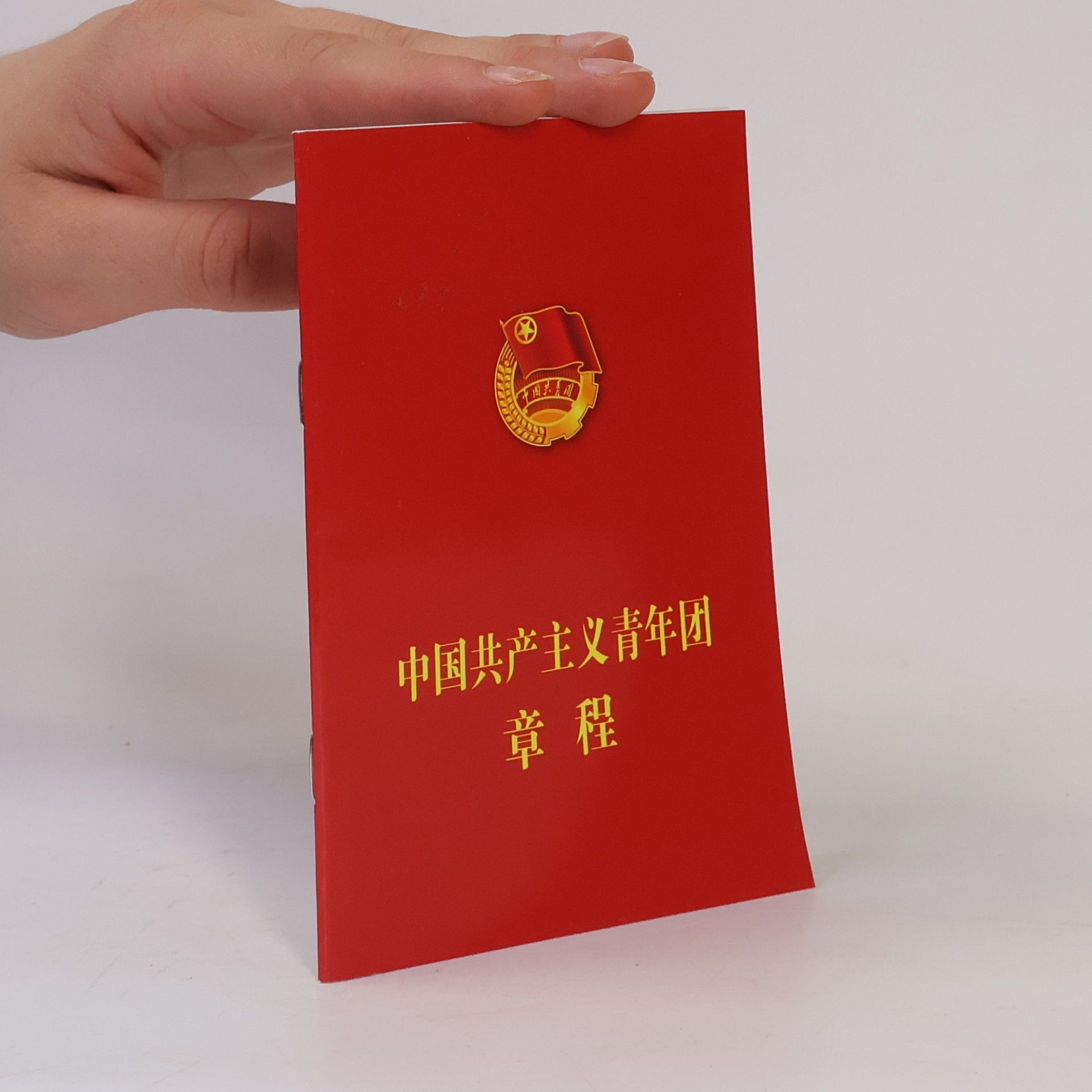 Autorenkollektiv 中国共产主义青年团 章程