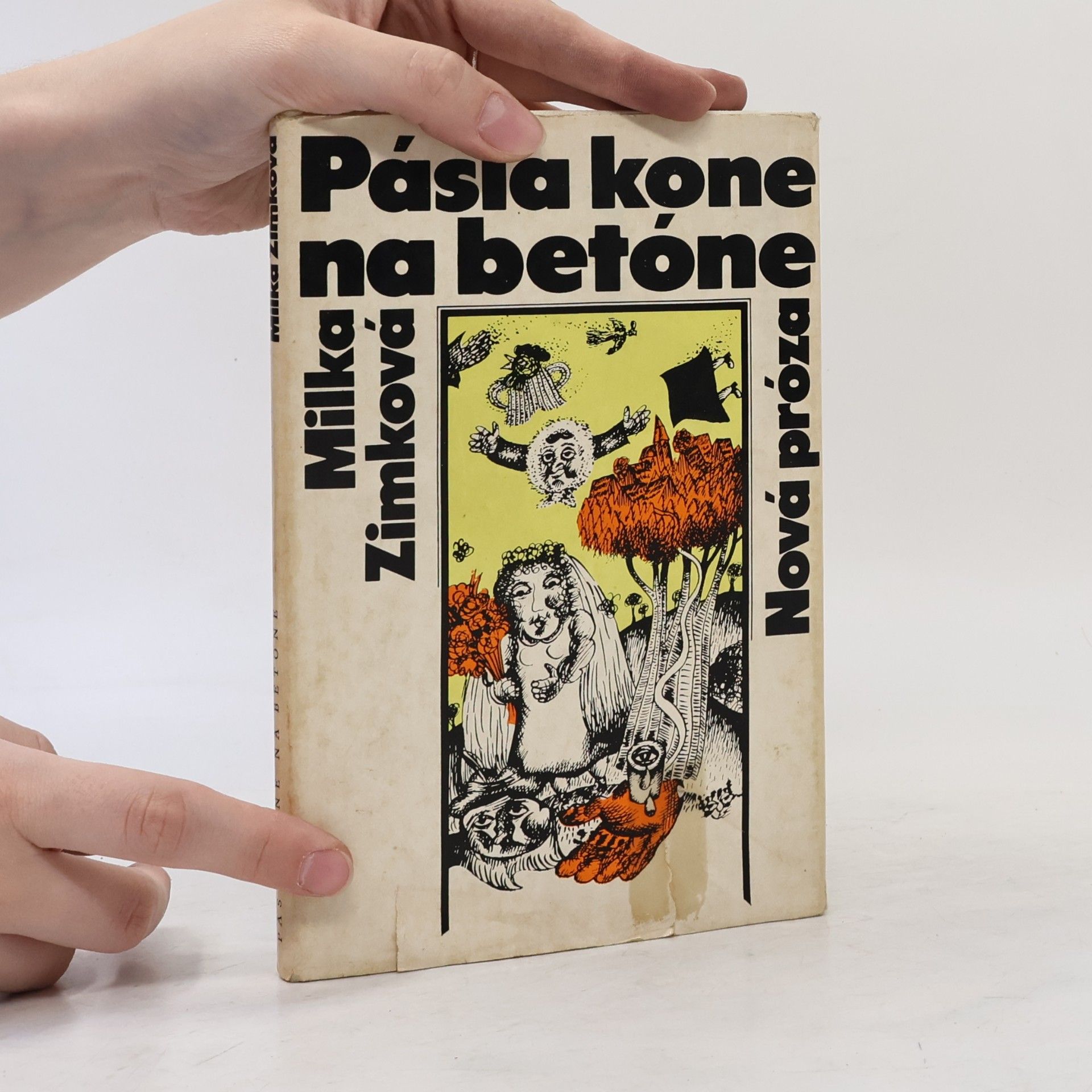 Milka Zimková Pásla kone na betóne
