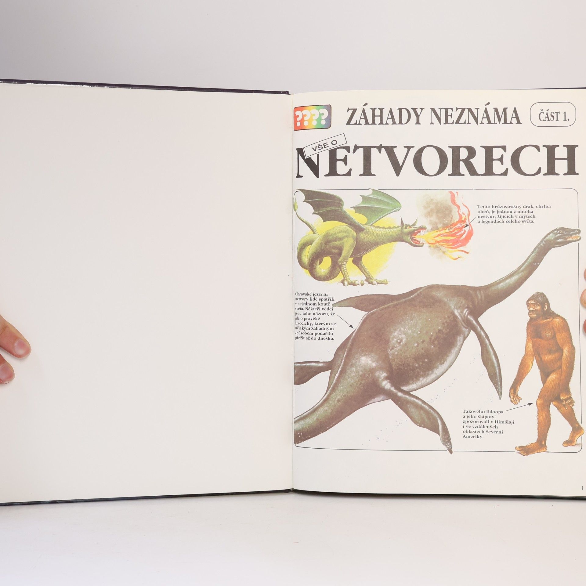 Various authors Záhady a neznáma