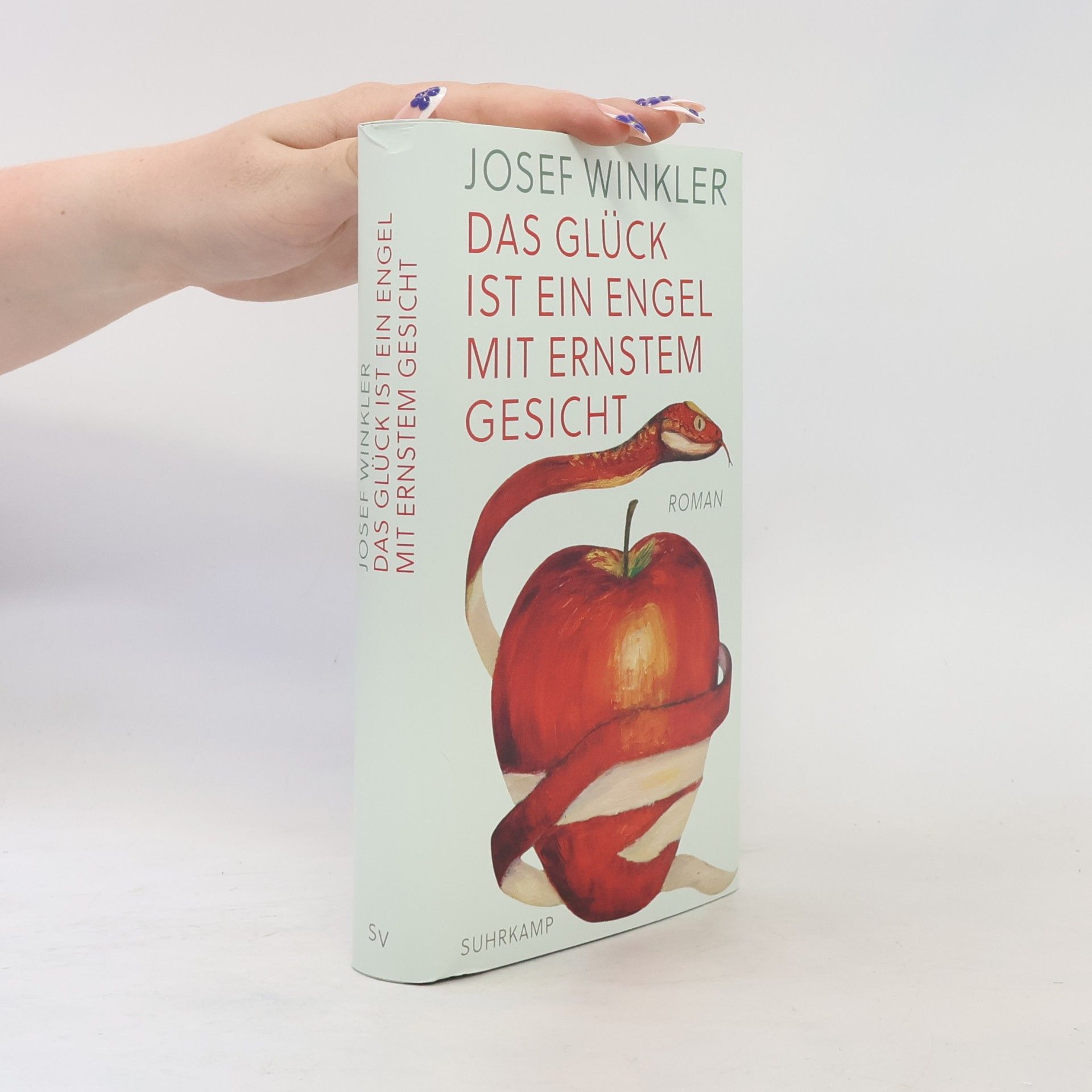 Josef Winkler Das Glück ist ein Engel mit ernstem Gesicht: Roman