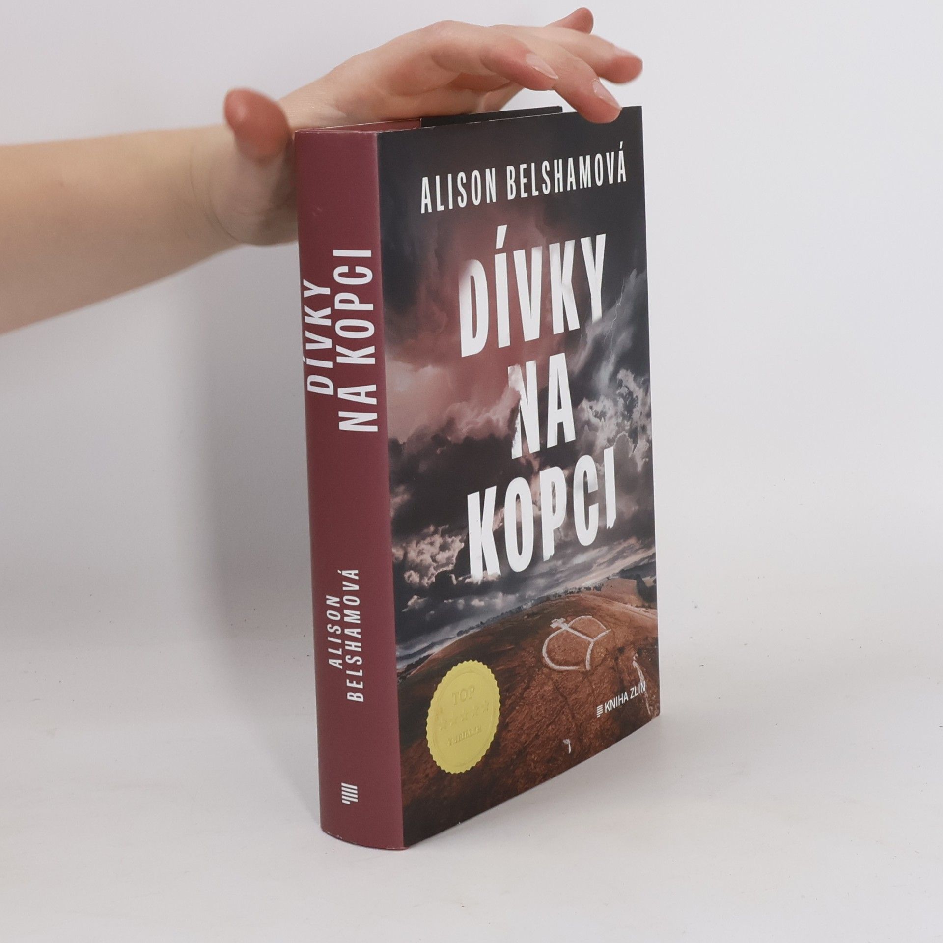 Alison Belsham Dívky na kopci