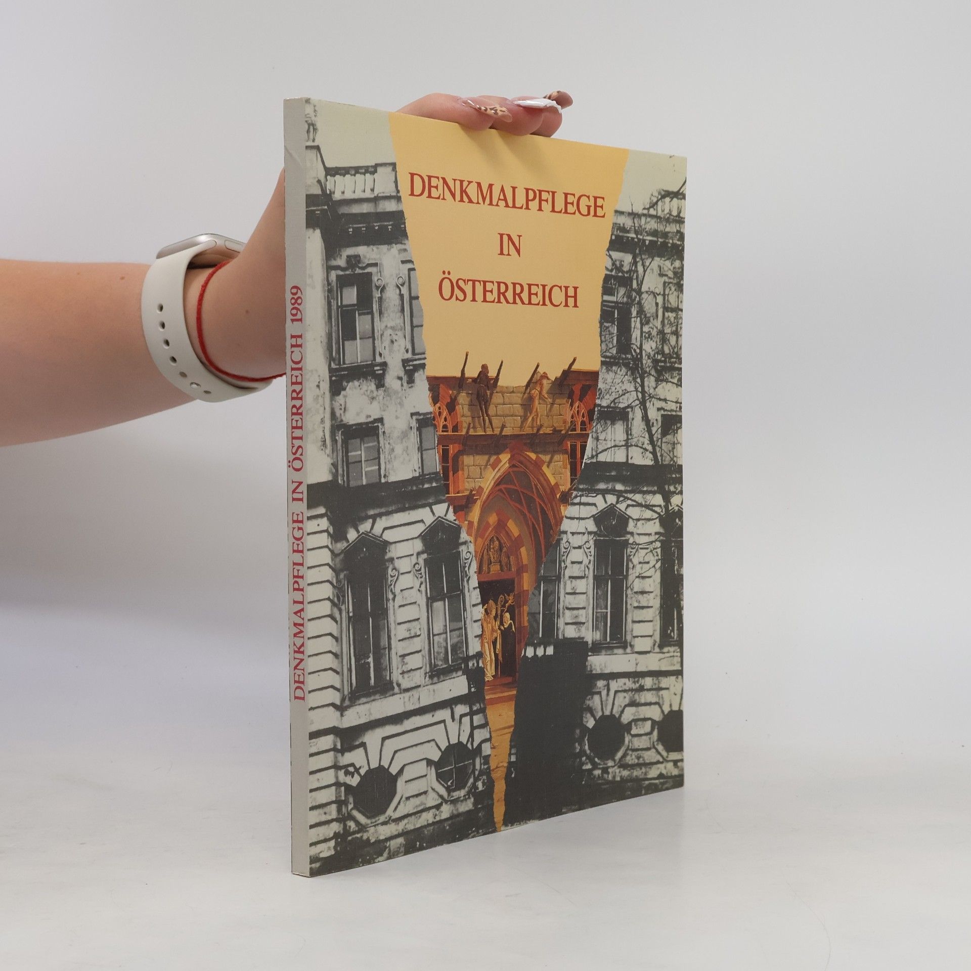 Collectif d'auteurs Denkmalpflege in Österreich