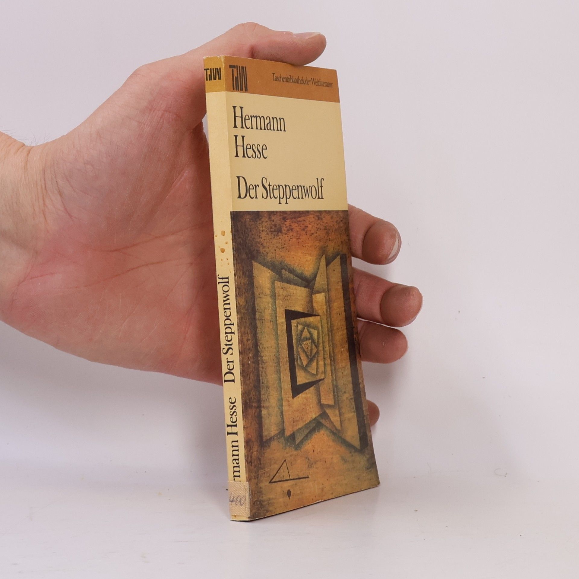 Hermann Hesse Der Steppenwolf