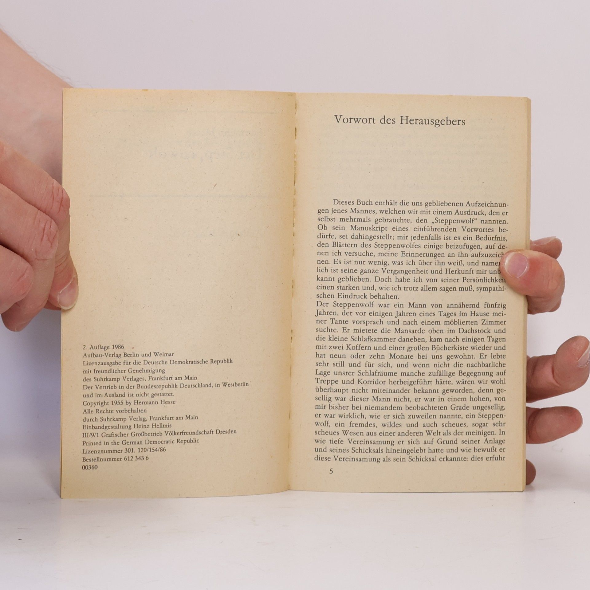 Hermann Hesse Der Steppenwolf