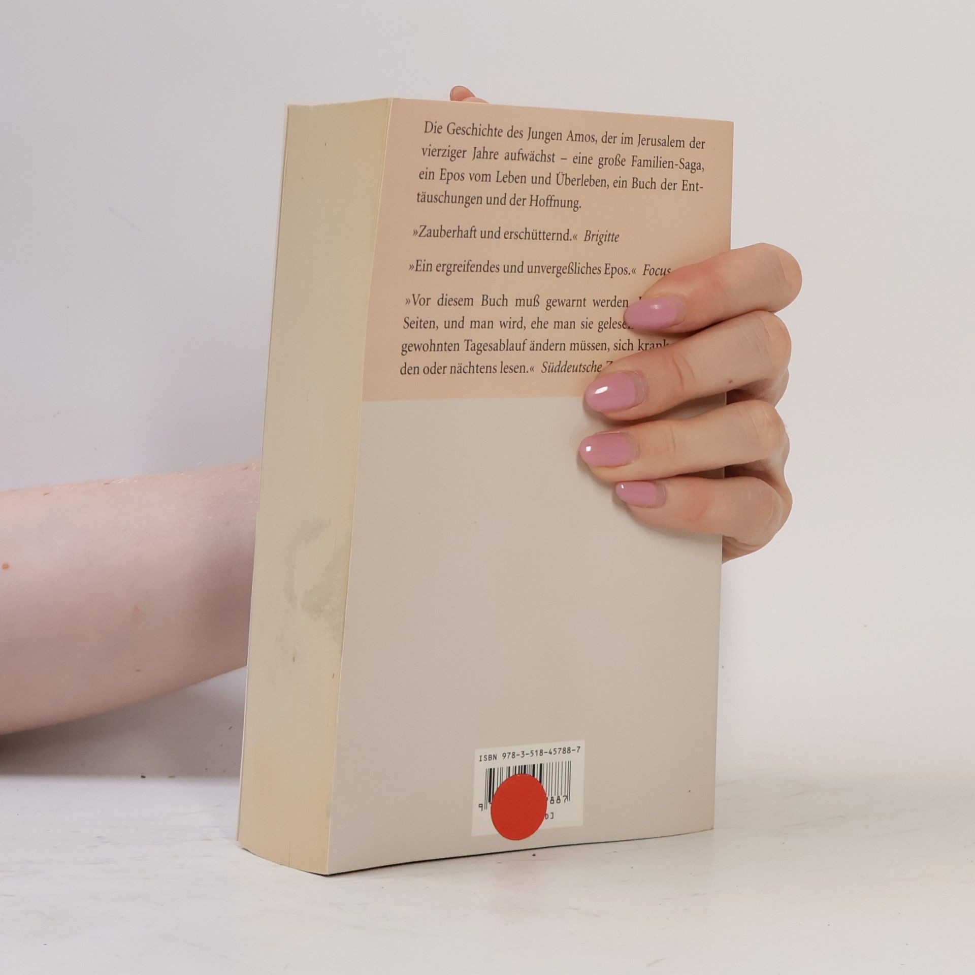 Amos Oz Eine Geschichte von Liebe und Finsternis