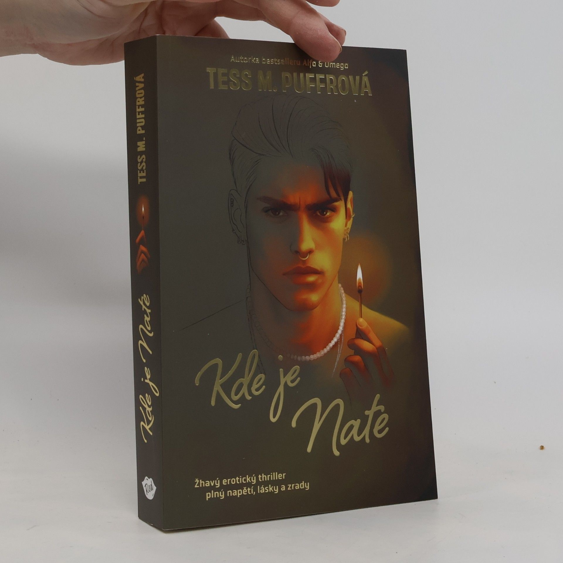 Tess M. Puffrová Kde je Nate