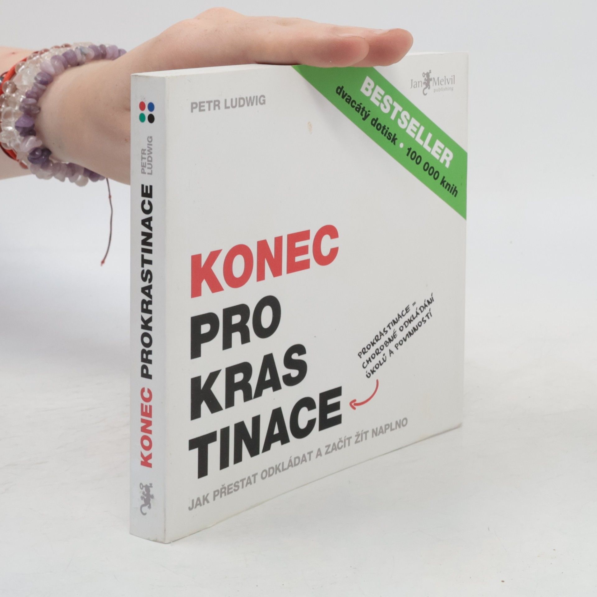 Petr Ludwig Konec prokrastinace