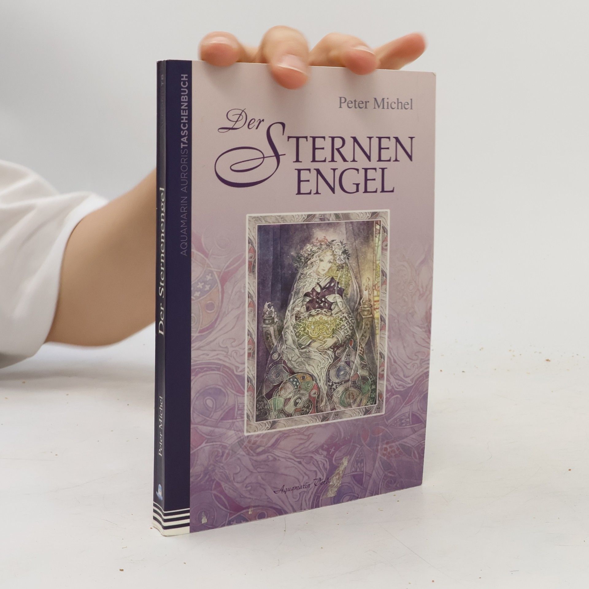 Peter Michel Der Sternenengel