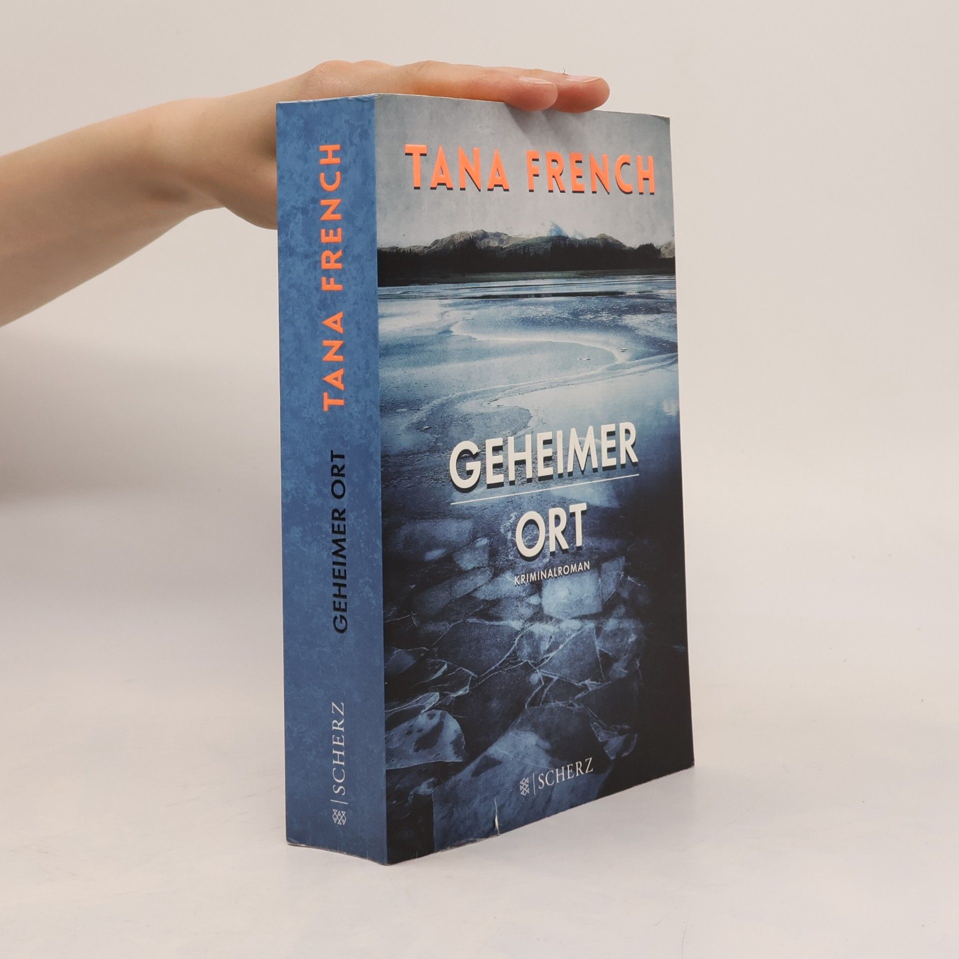 Tana French Geheimer Ort