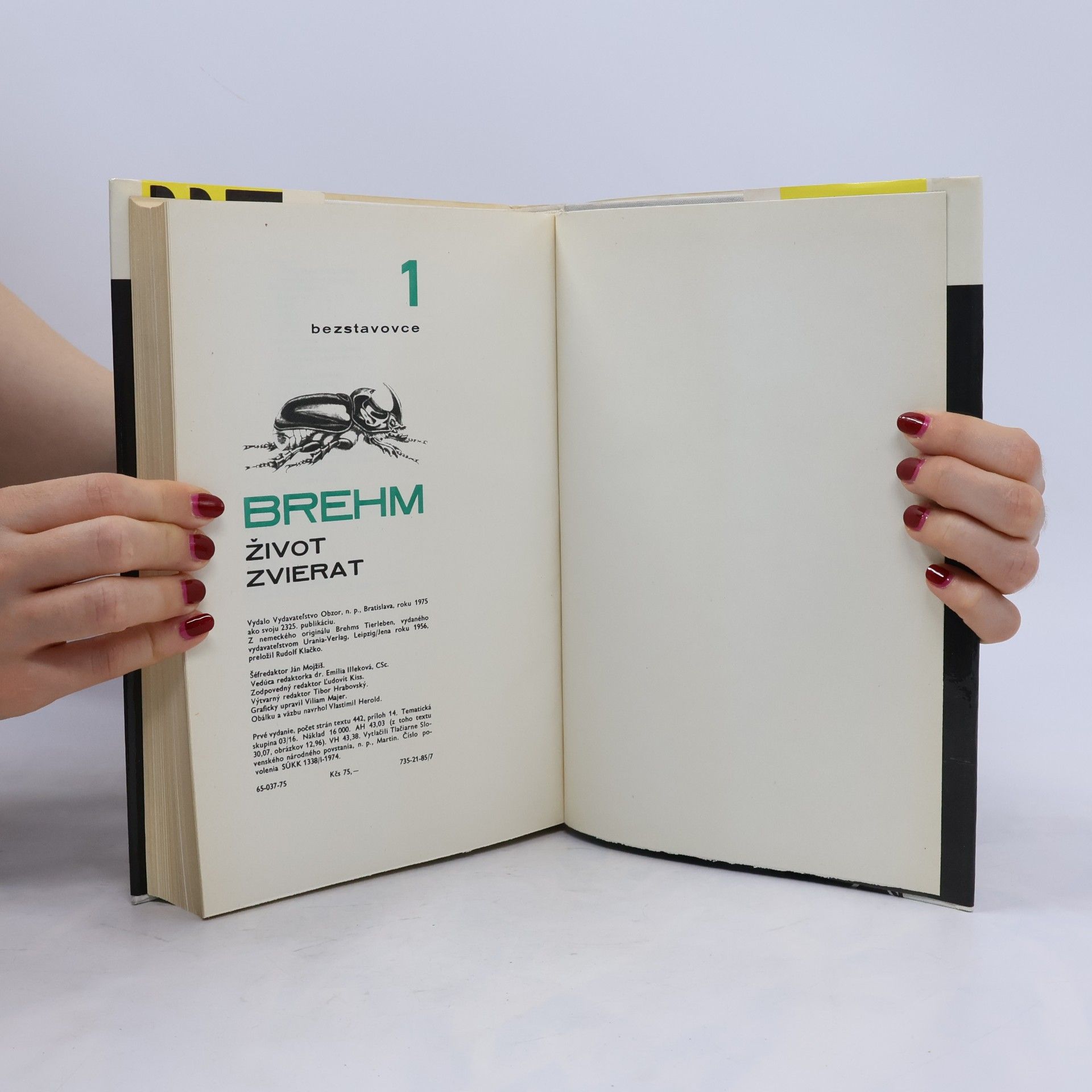 Walter Rammer Brehm Život zvierat 1. Bezstavovce