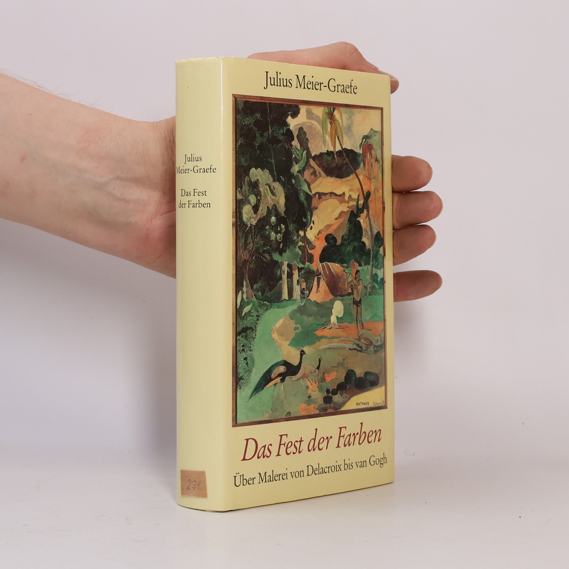 Julius Meier-Graefe Das Fest der Farben