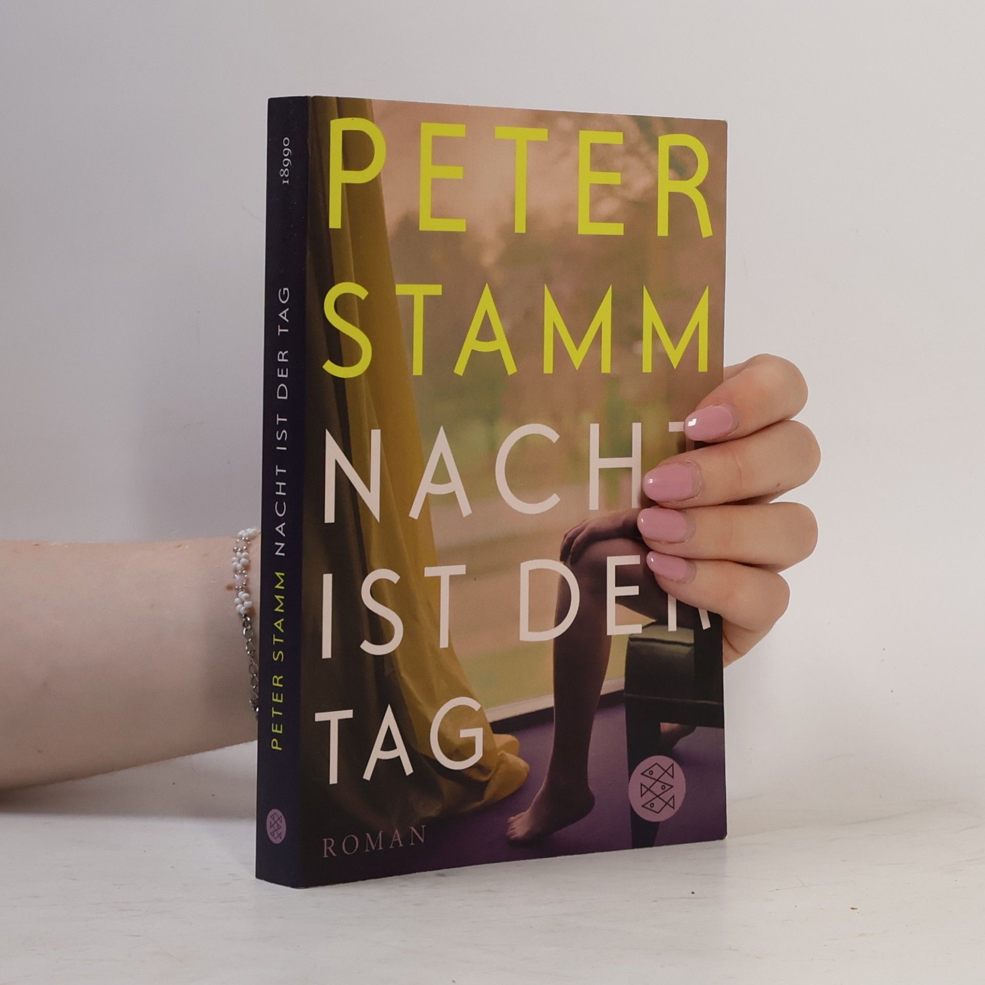 Peter Stamm Nacht ist der Tag