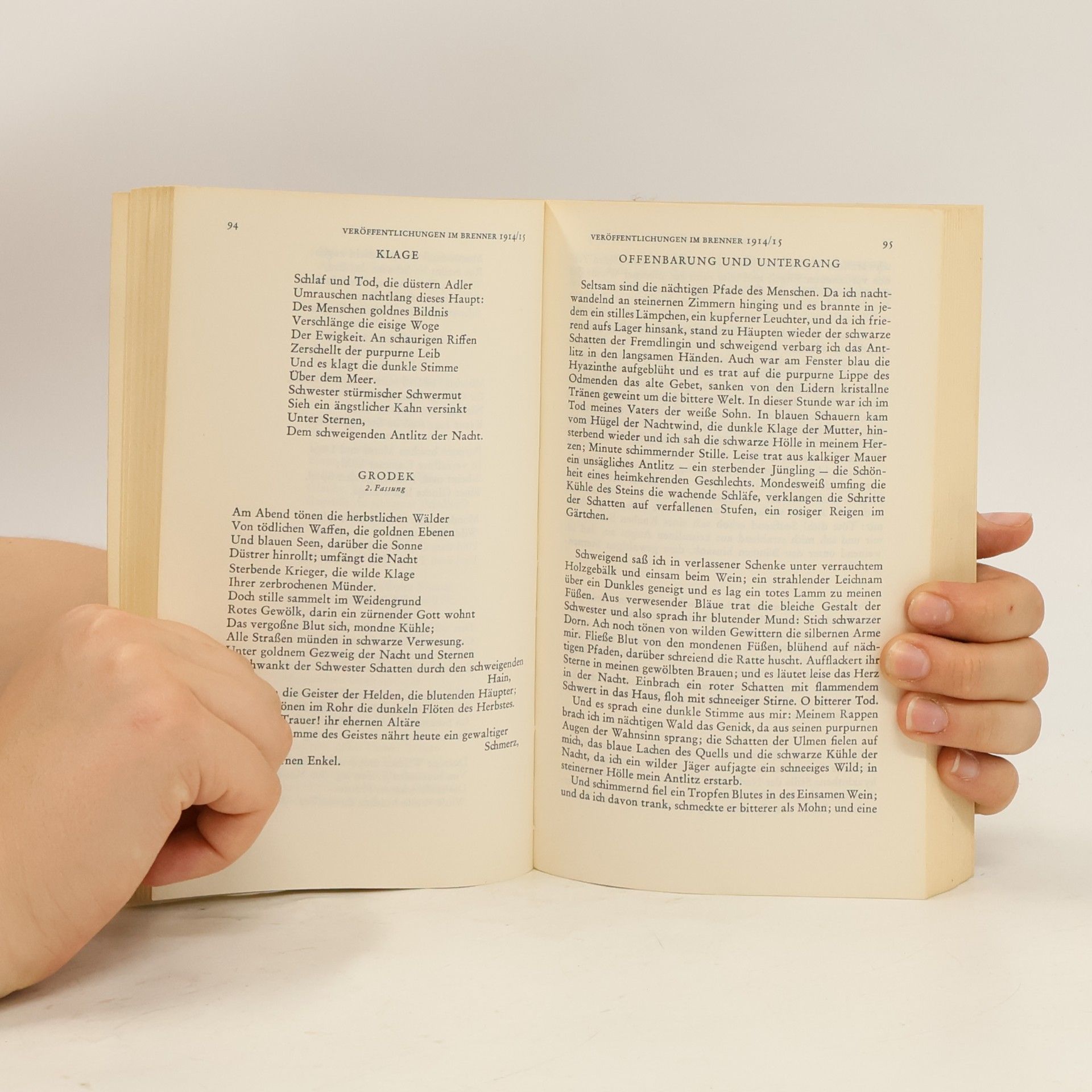 Georg Trakl Dichtungen und Briefe