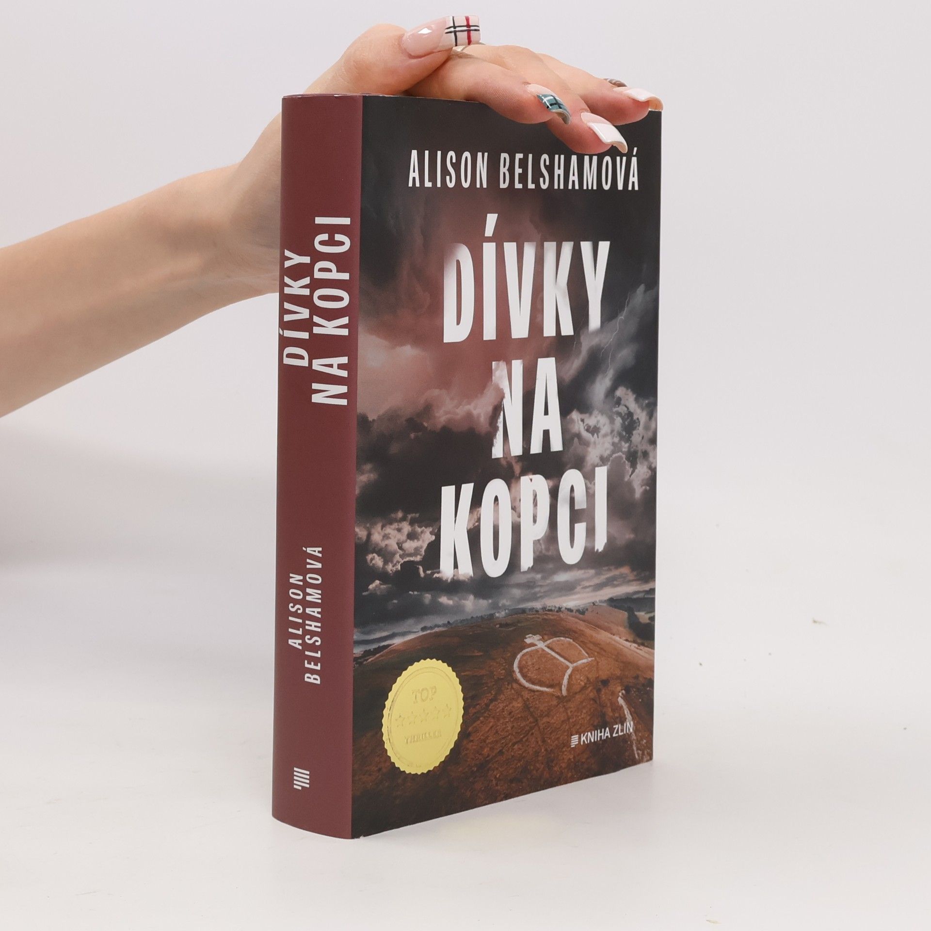 Alison Belsham Dívky na kopci