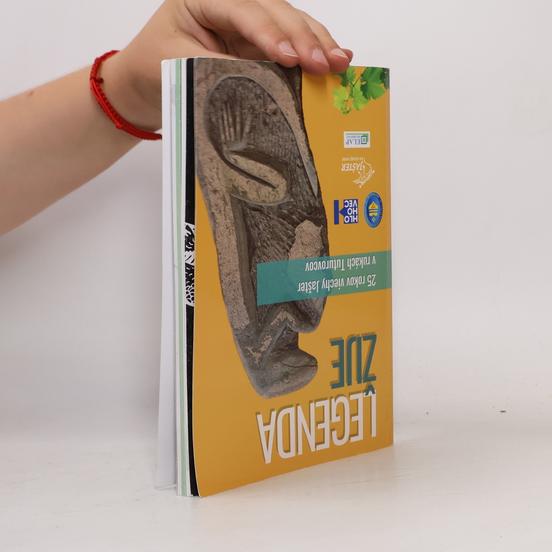 Collectif d'auteurs Legenda žije / Cech vinárov Hlohovecka