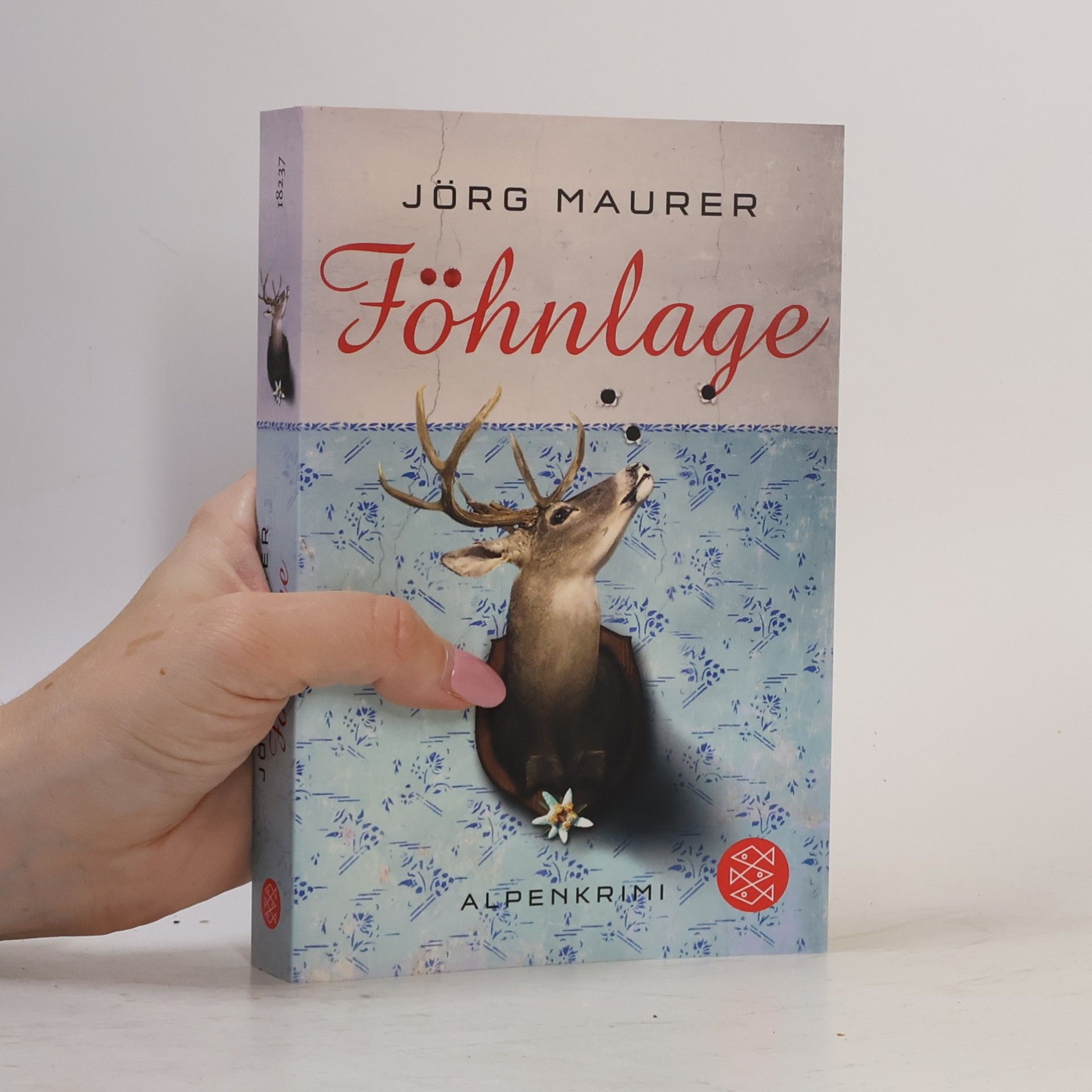 Jörg Maurer Föhnlage