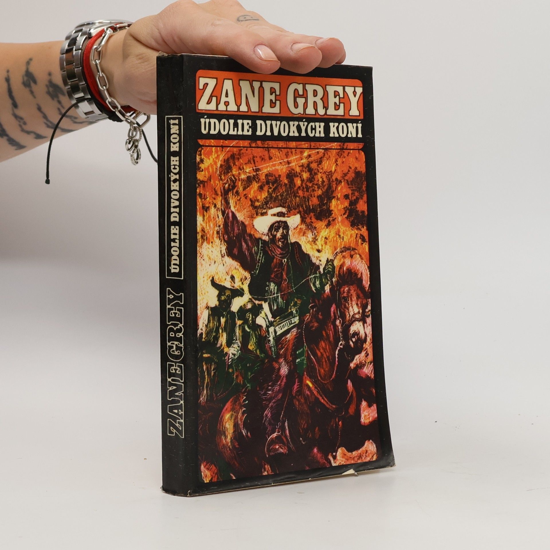 Zane Grey Údolie divokých koní