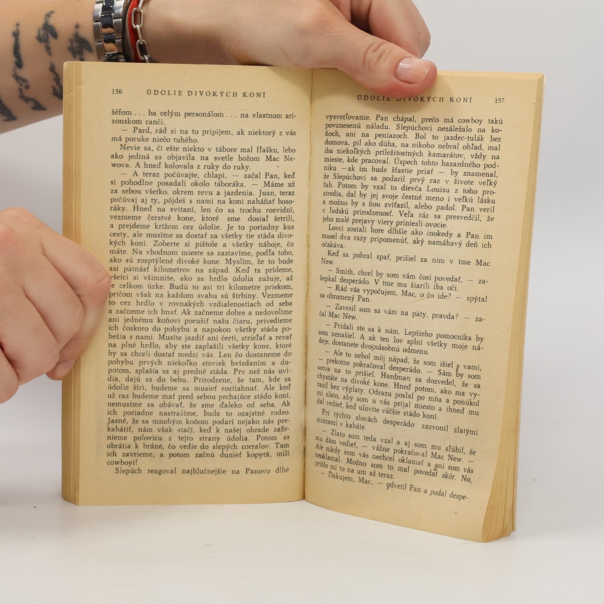 Zane Grey Údolie divokých koní