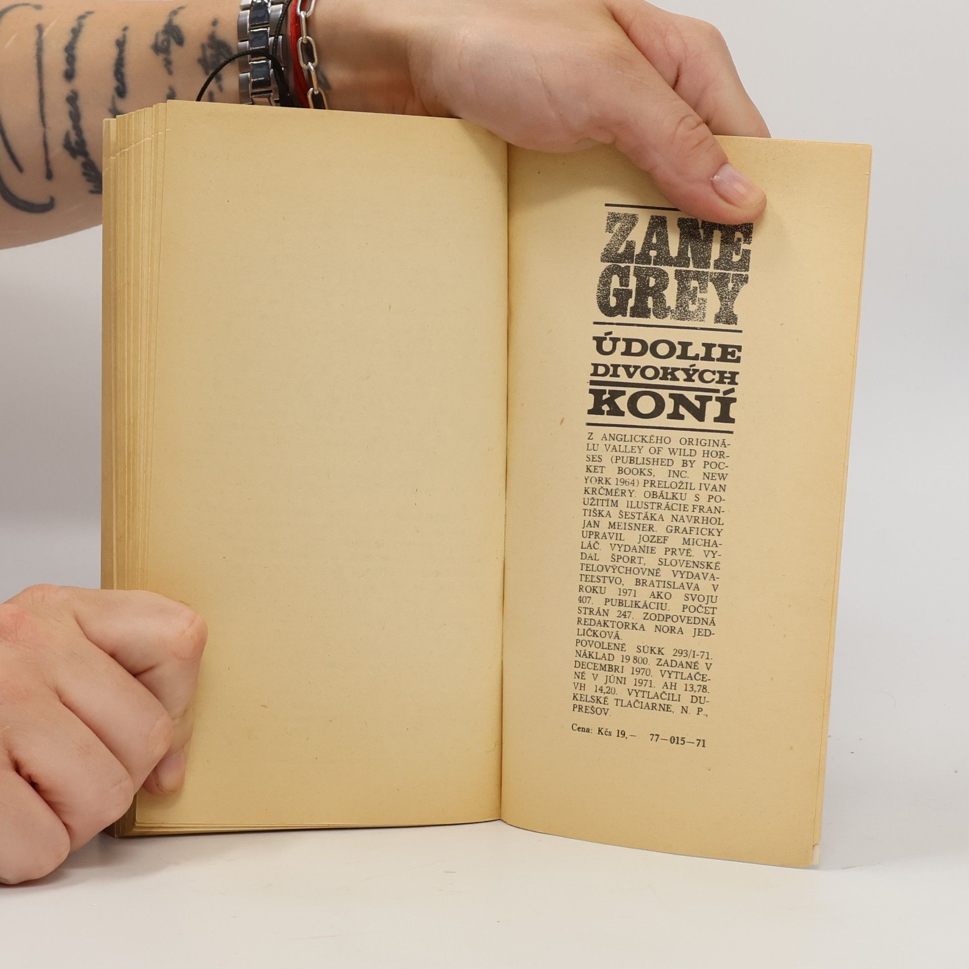 Zane Grey Údolie divokých koní