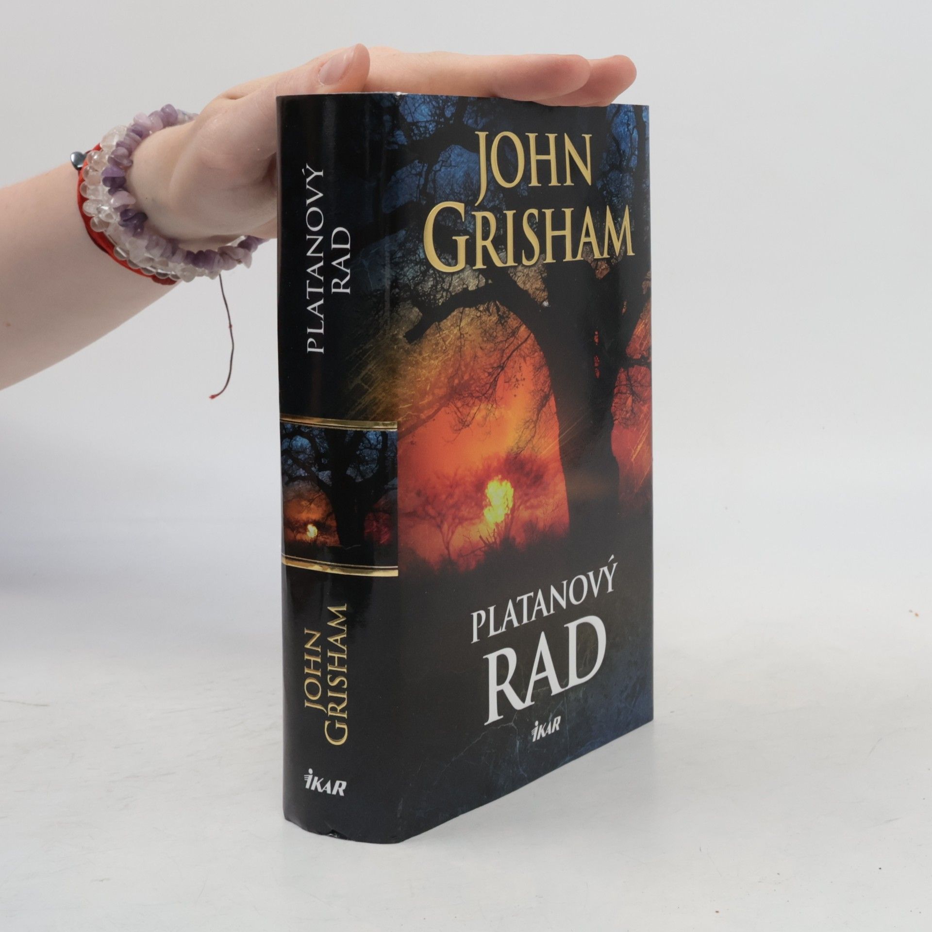 John Grisham Platanový rad