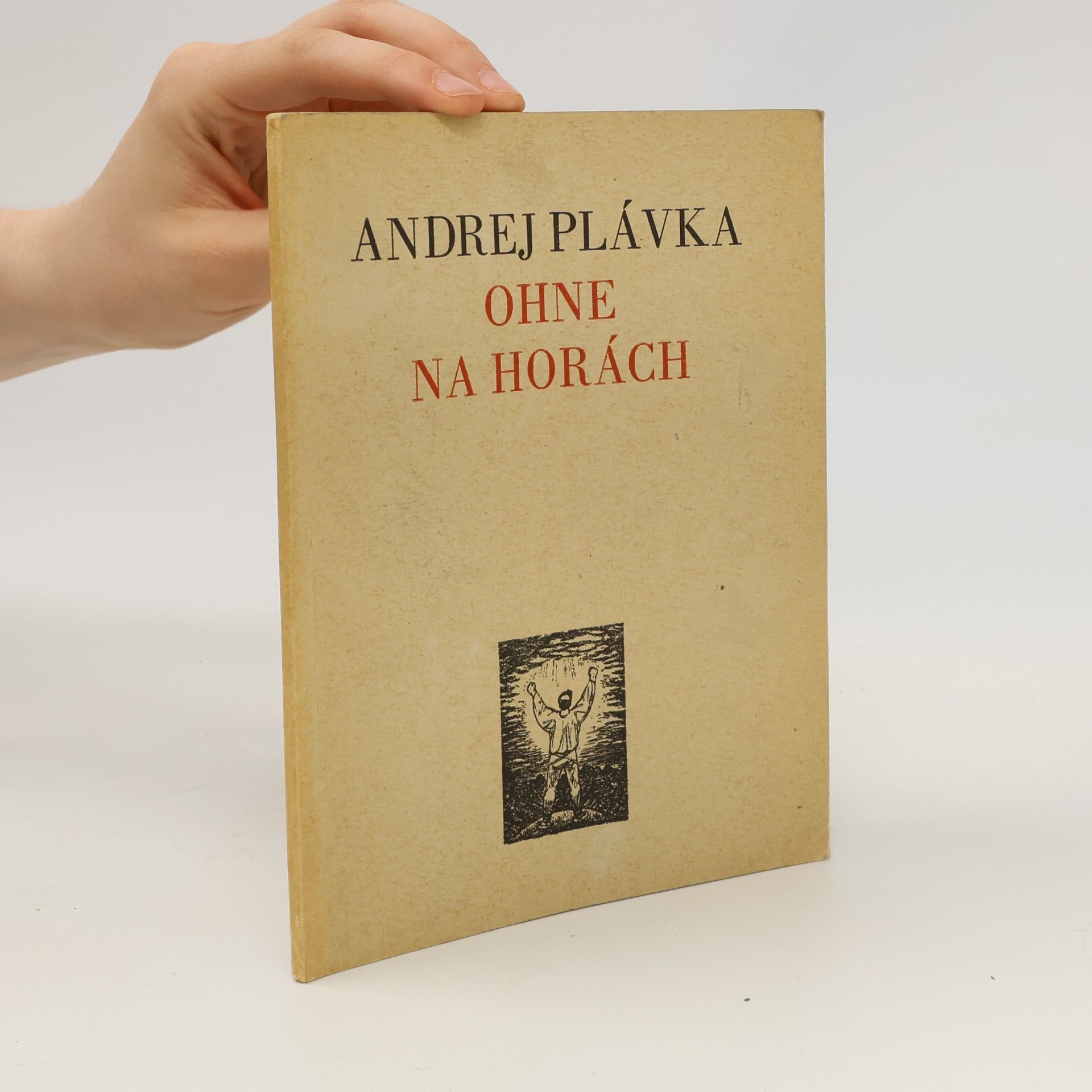 Andrej Plávka Ohne na horách