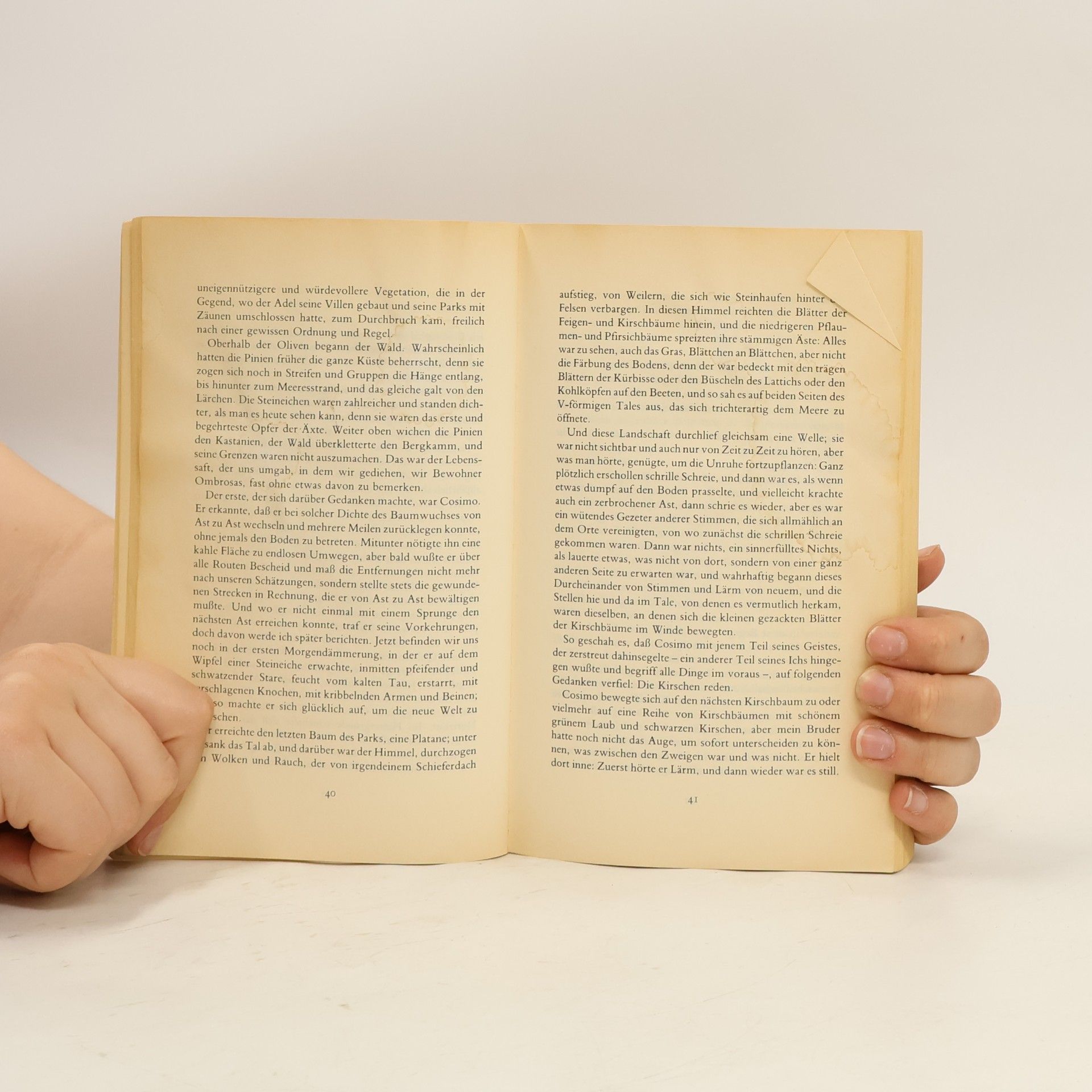Italo Calvino Der Baron auf den Bäumen