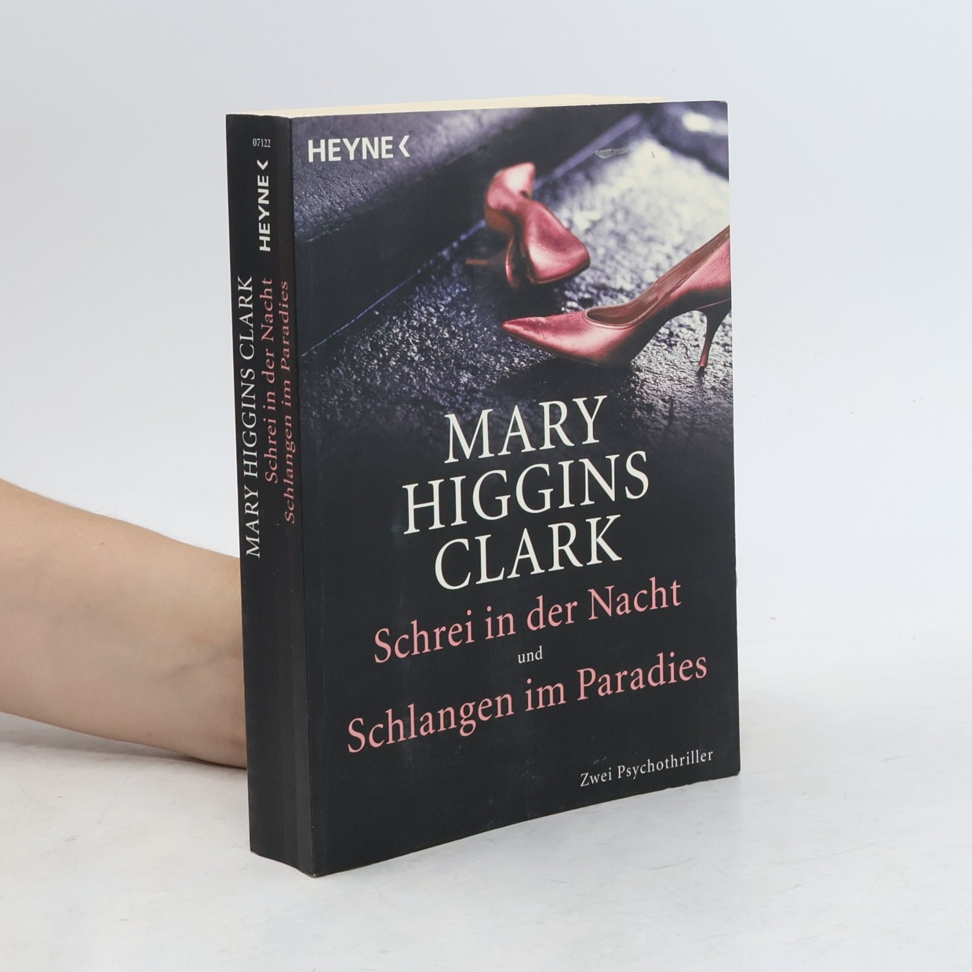 Mary Higginsová Clarková Schrei in der Nacht