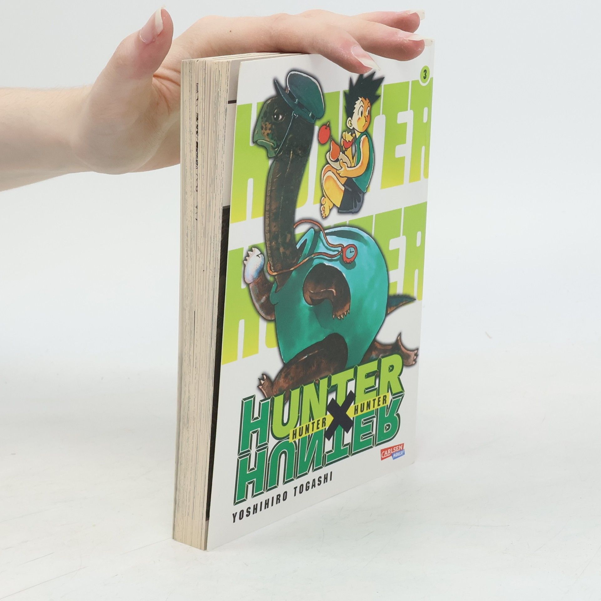 Yoshihiro Togashi Hunter x hunter 3