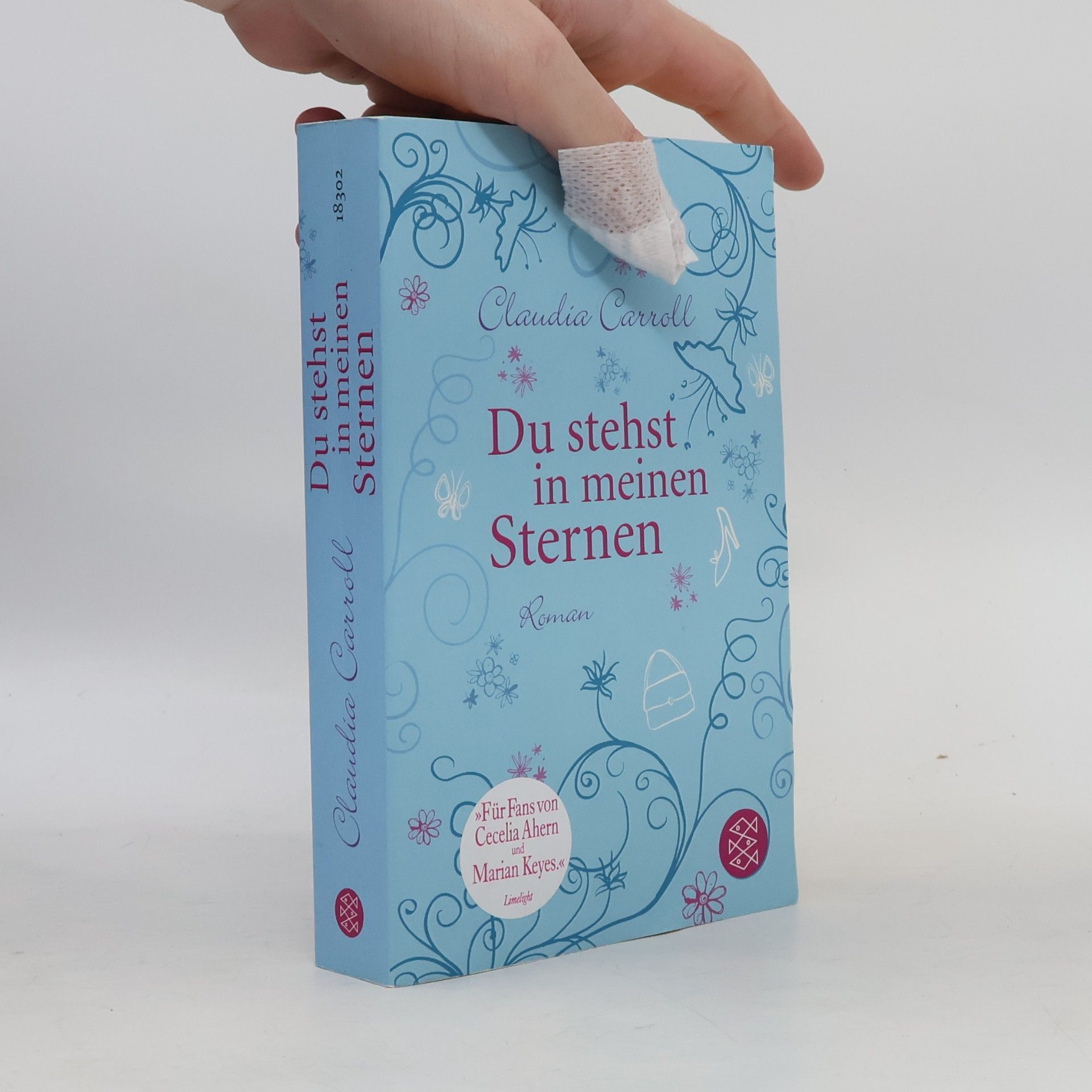 Claudia  Carroll Du stehst in mein Sternen