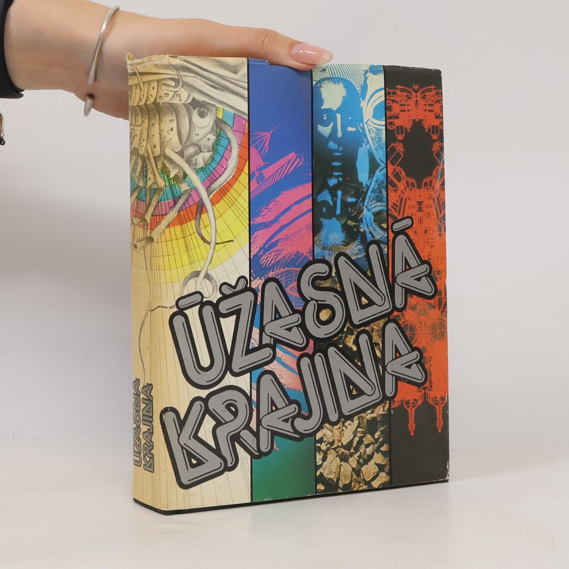 Various authors Úžasná krajina