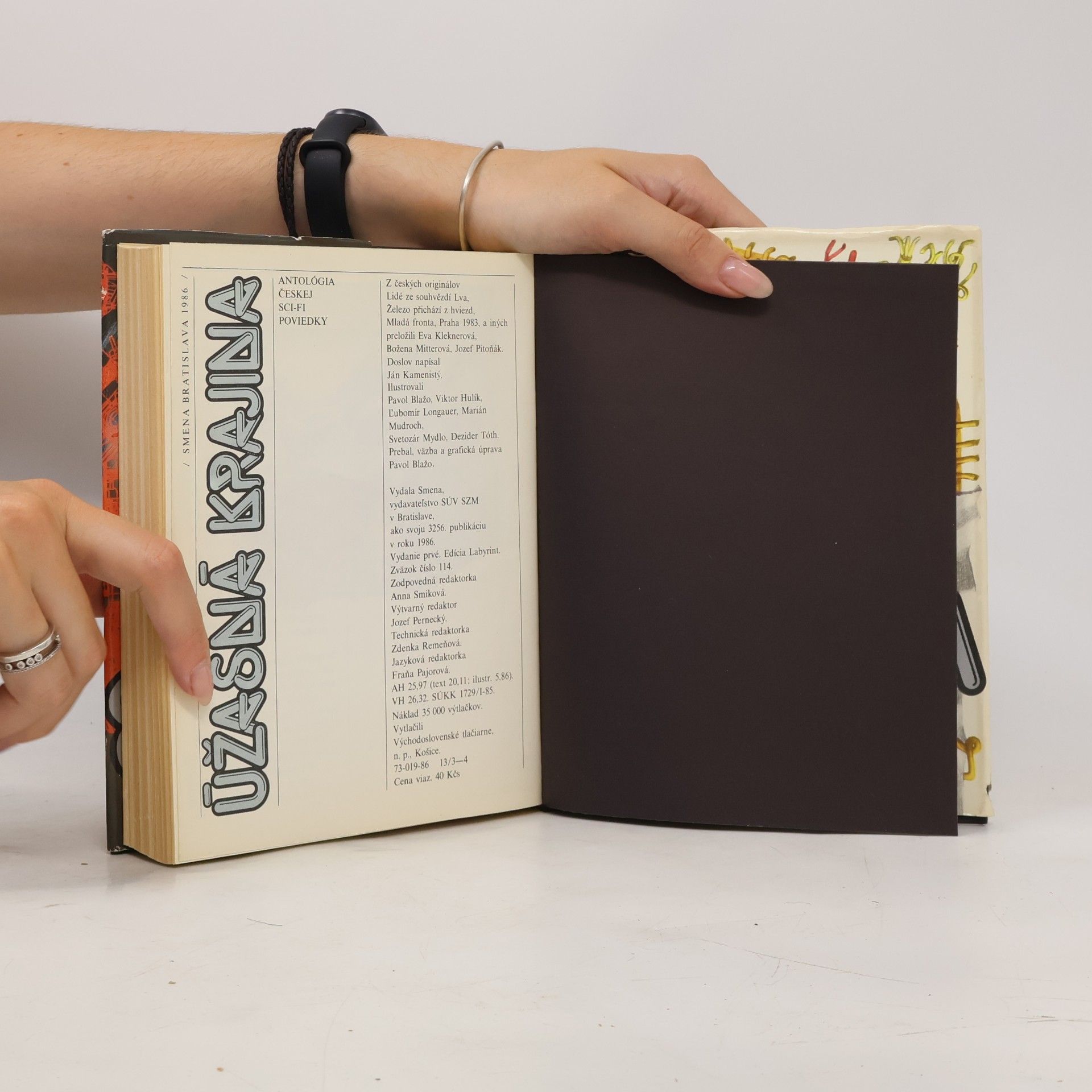 Various authors Úžasná krajina