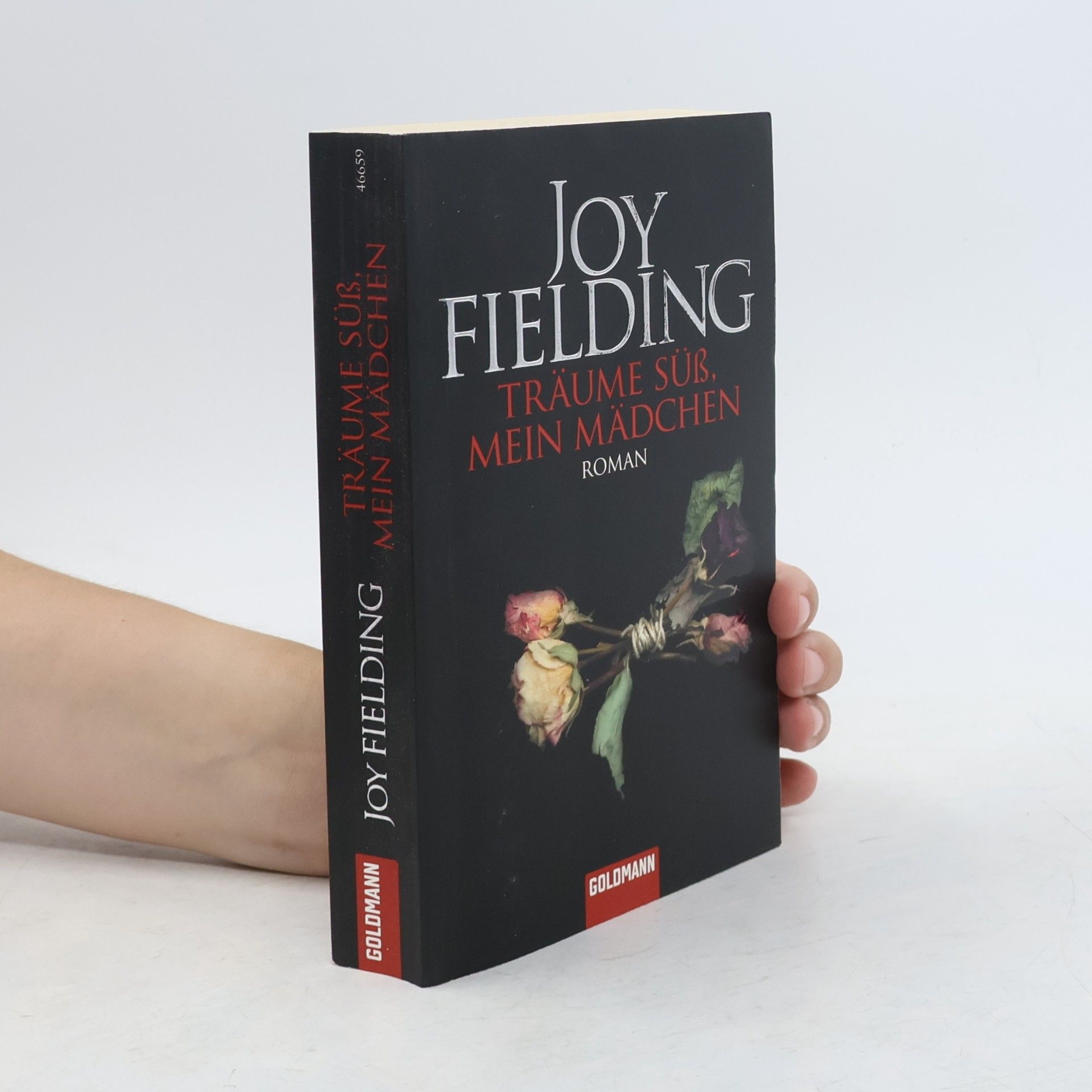 Joy Fielding Träume süss, mein Mädchen