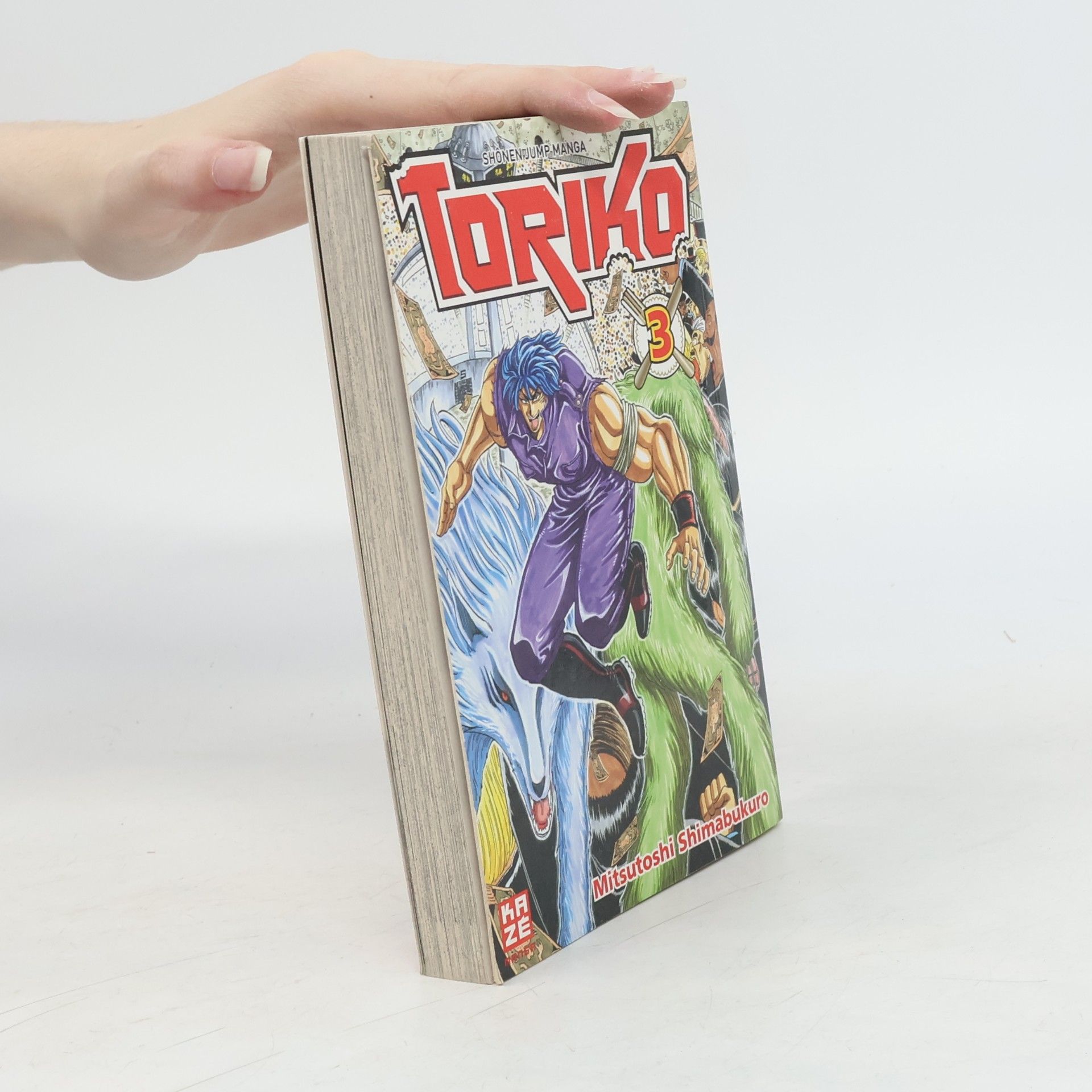 Mitsutoshi Shimabukuro Toriko 3