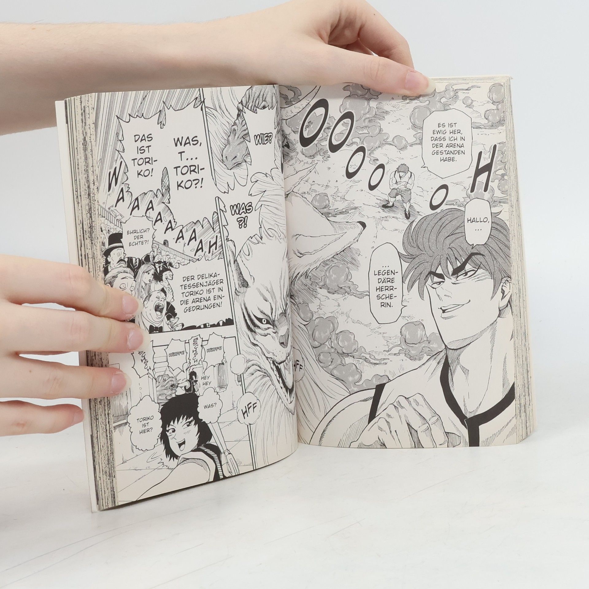 Mitsutoshi Shimabukuro Toriko 3
