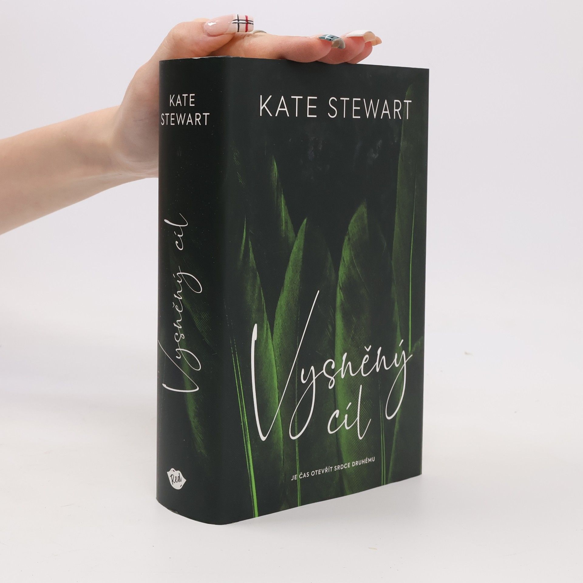 Kate Stewart Vysněný cíl. Kniha třetí