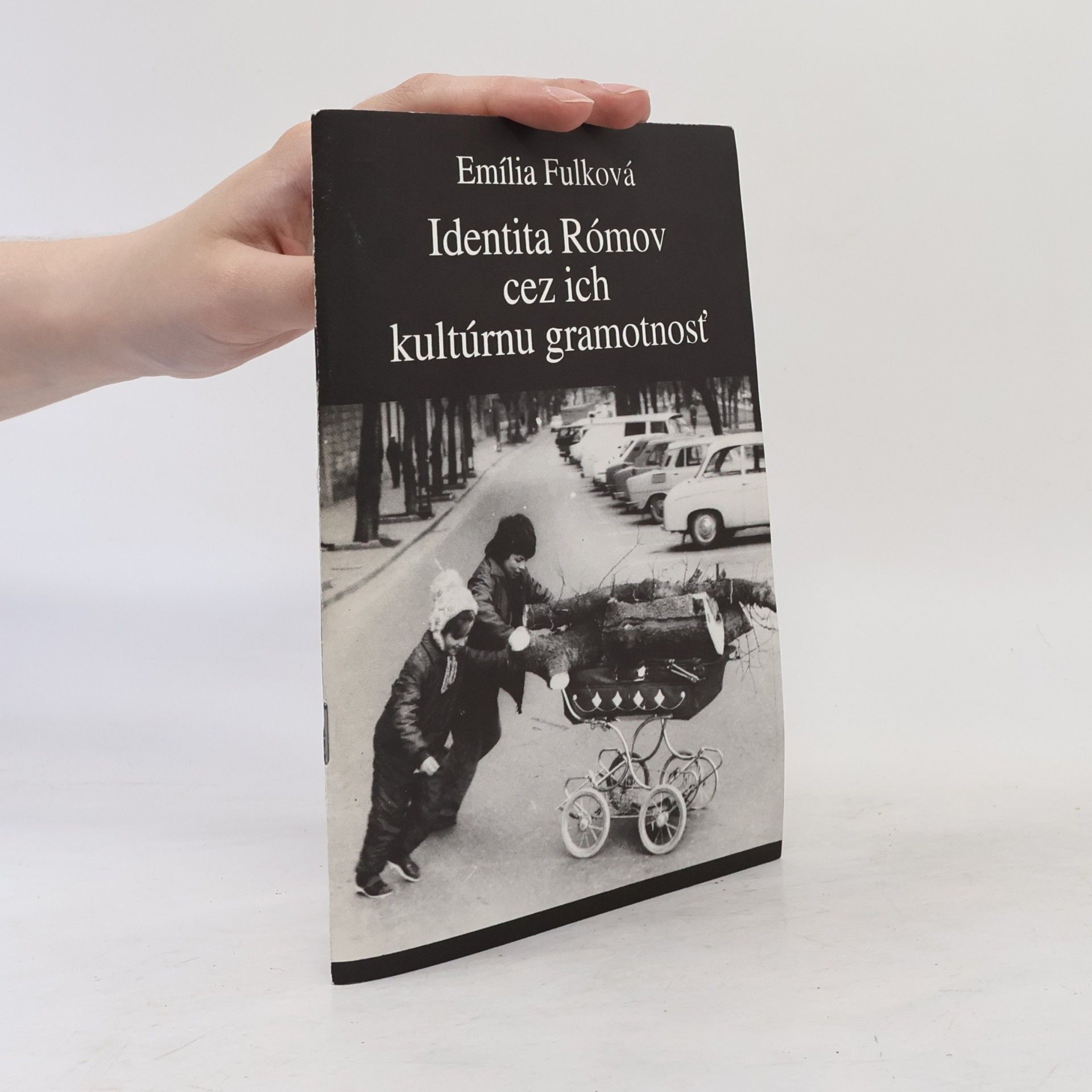 Emília Fulková Identita Rómov cez ich kultúrnu gramotnosť