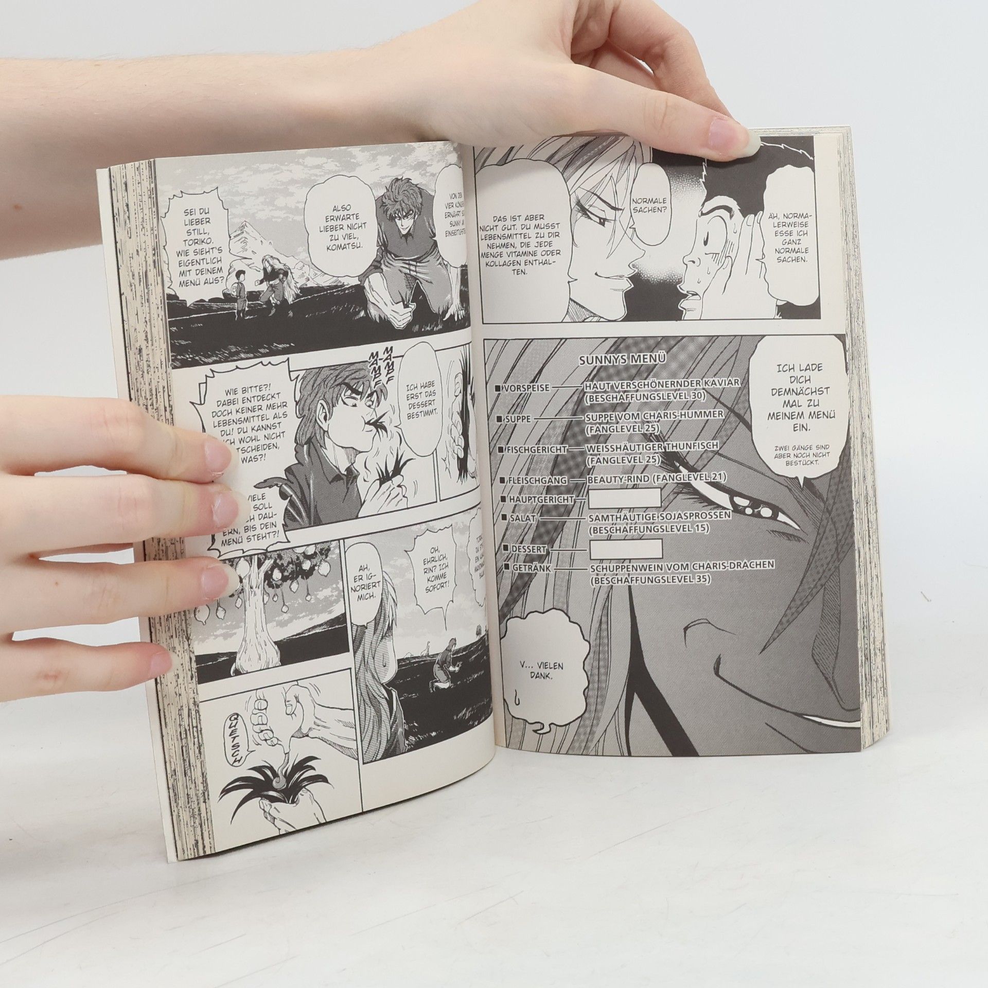 Mitsutoshi Shimabukuro Toriko 4
