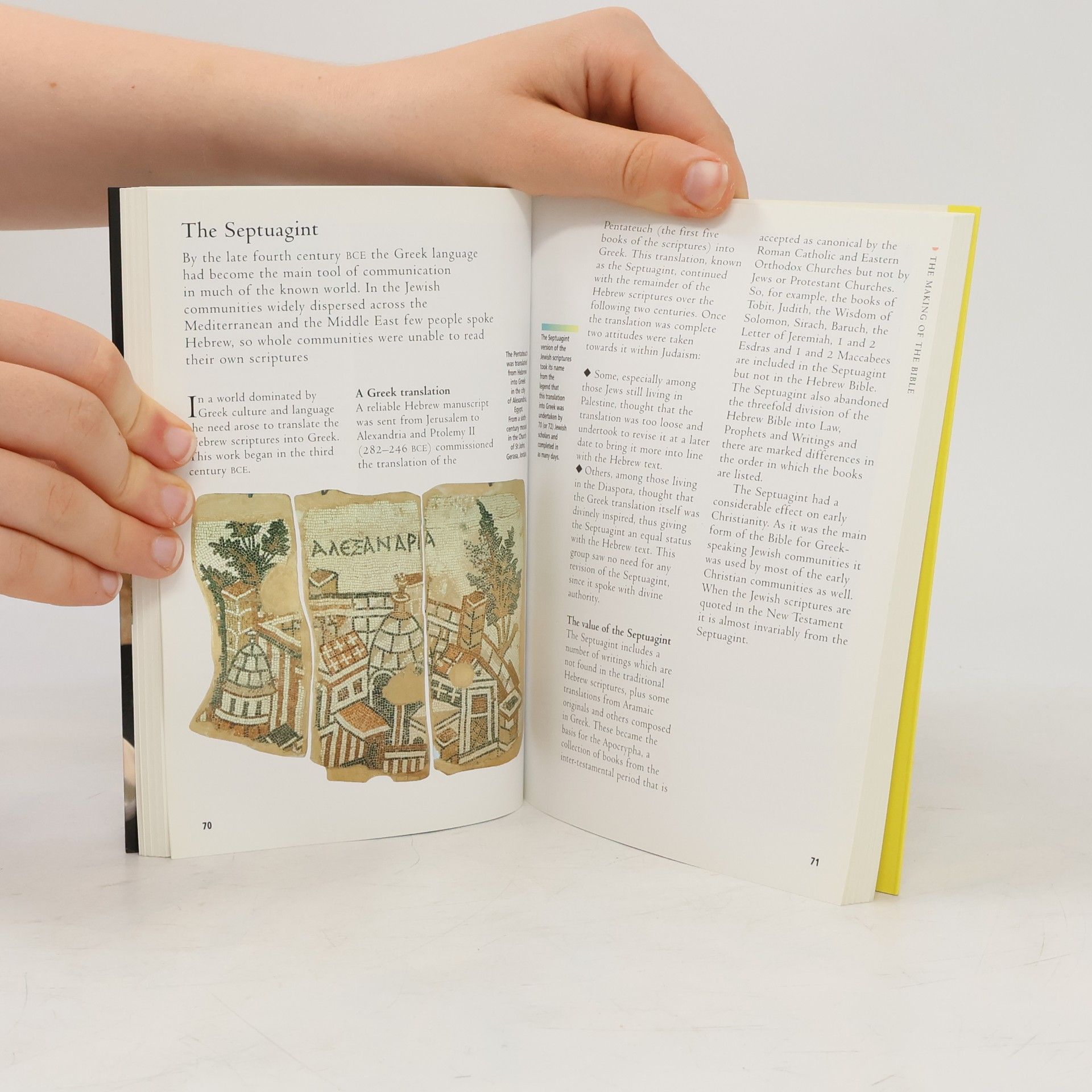 Michael Keene Lion Access Guides: The Bible