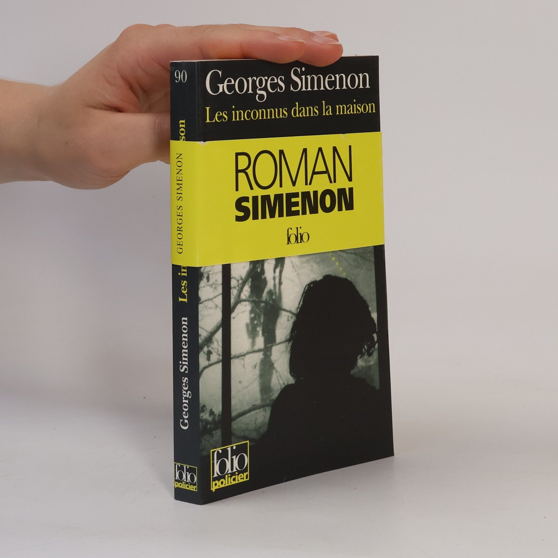 Georges Simenon Les inconnus dans la maison