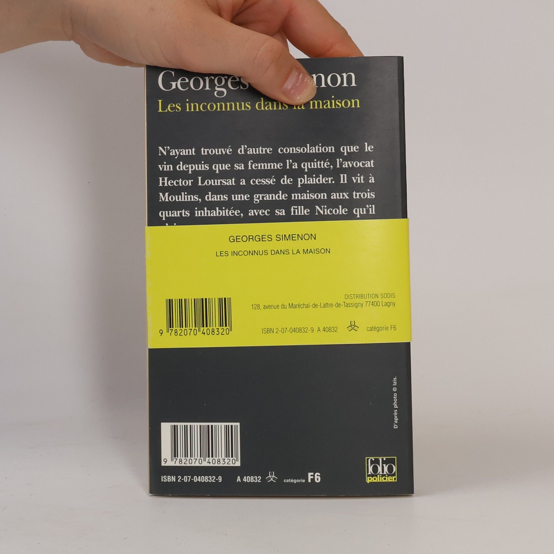 Georges Simenon Les inconnus dans la maison
