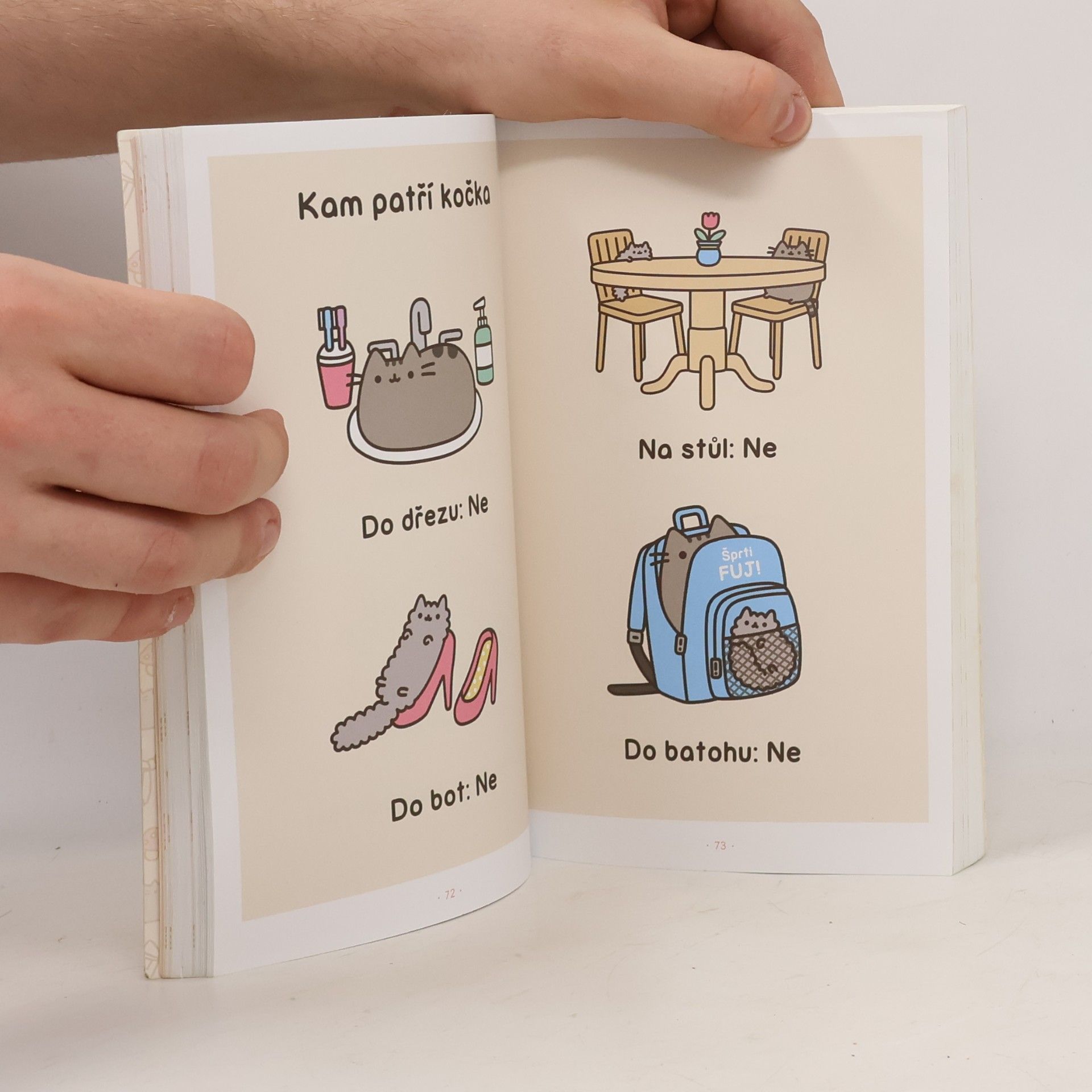 Claire Belton Pusheen. Já, košišta
