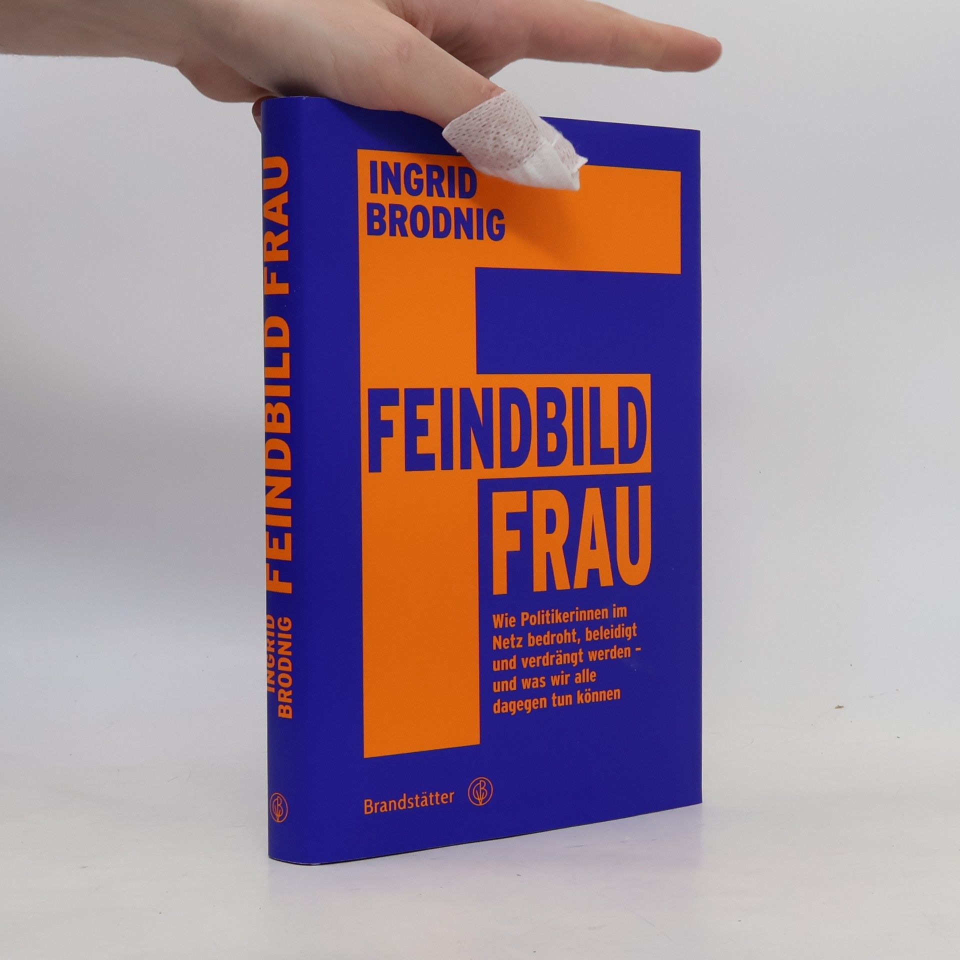 Ingrid Brodnig Feindbild Frau