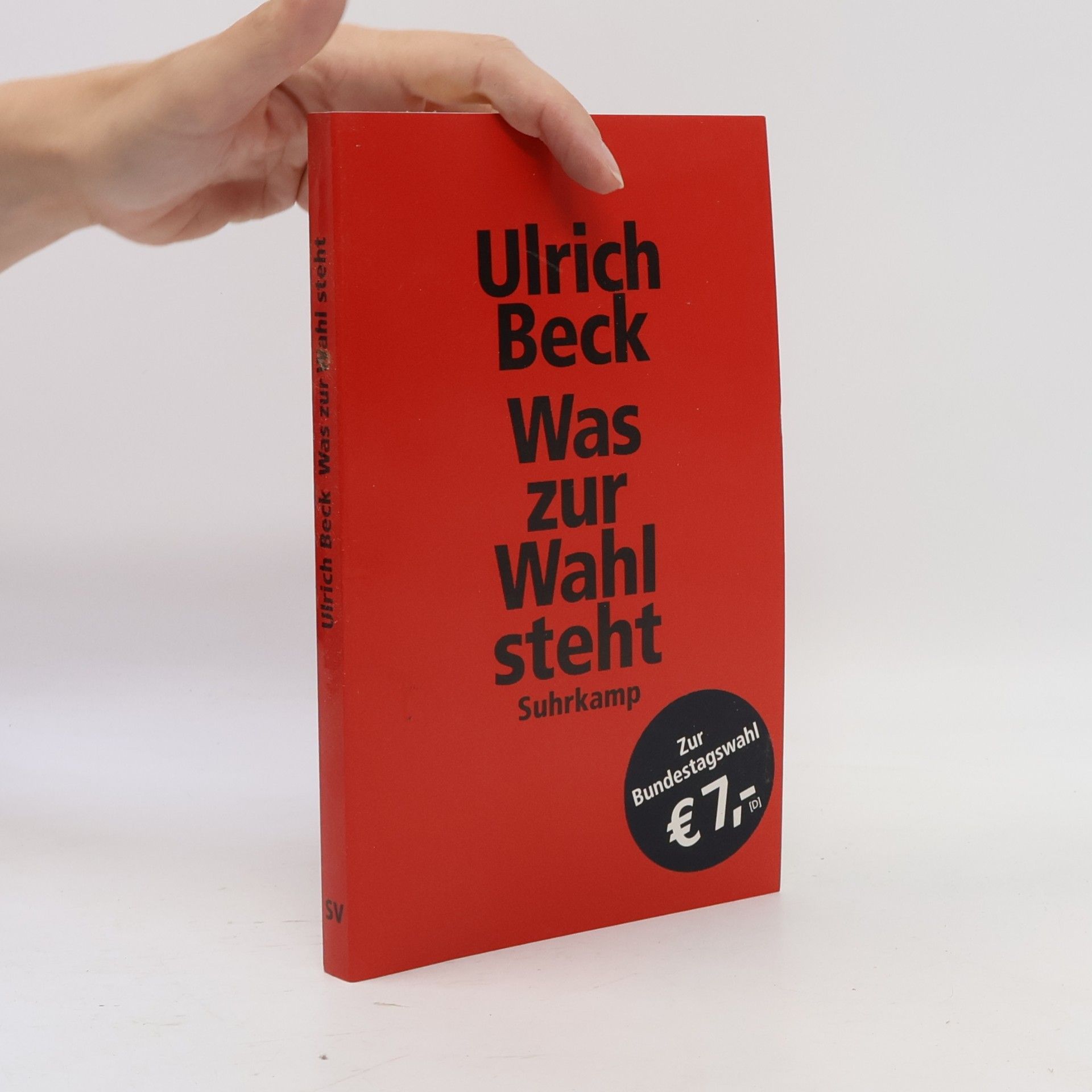 Ulrich Beck Was zur Wahl steht