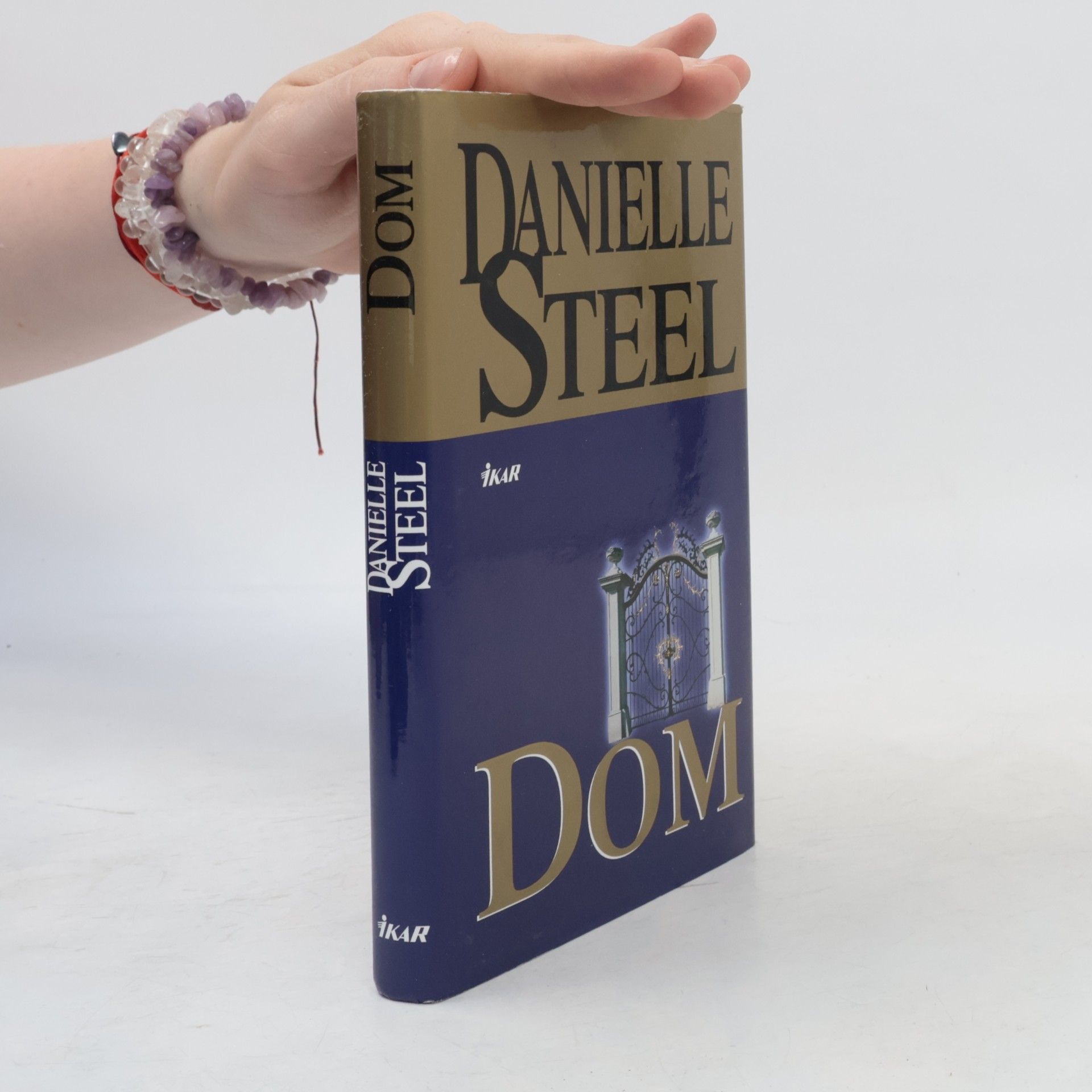 Danielle Steelová Dom