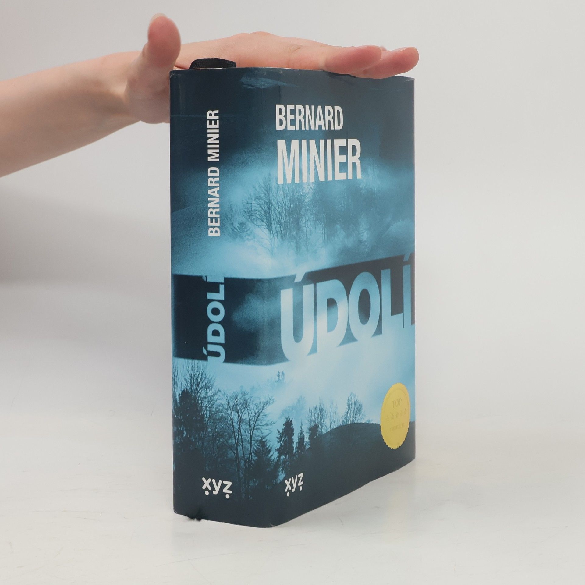 Údolí