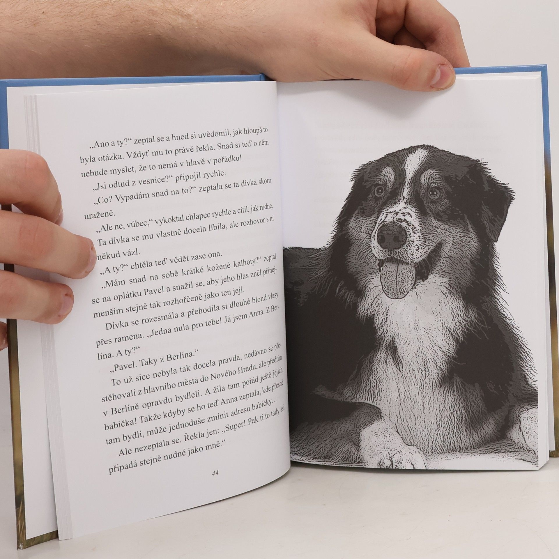 Wolfram Hänel Dusty: Vrať se domů!