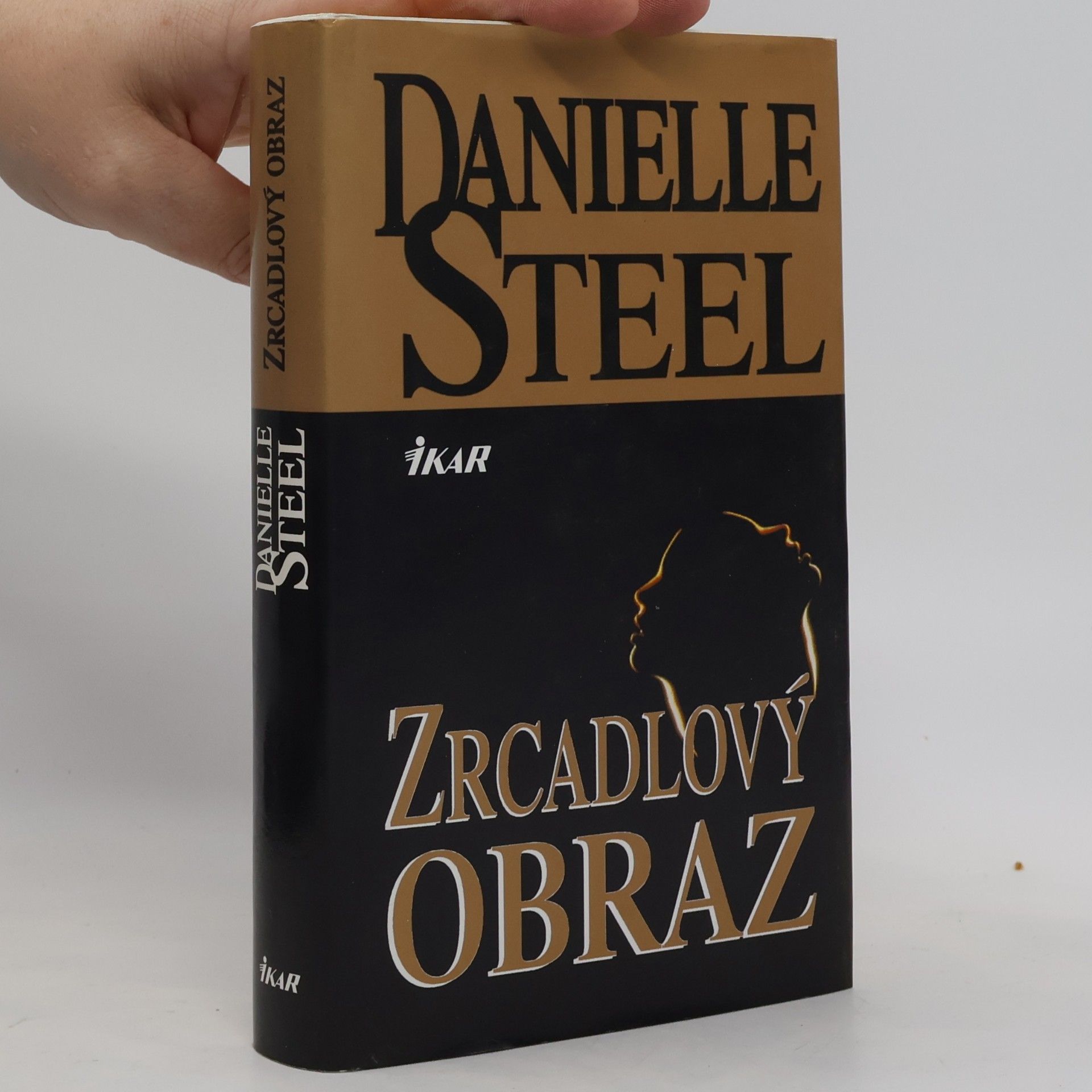 Danielle Steel Zrcadlový obraz