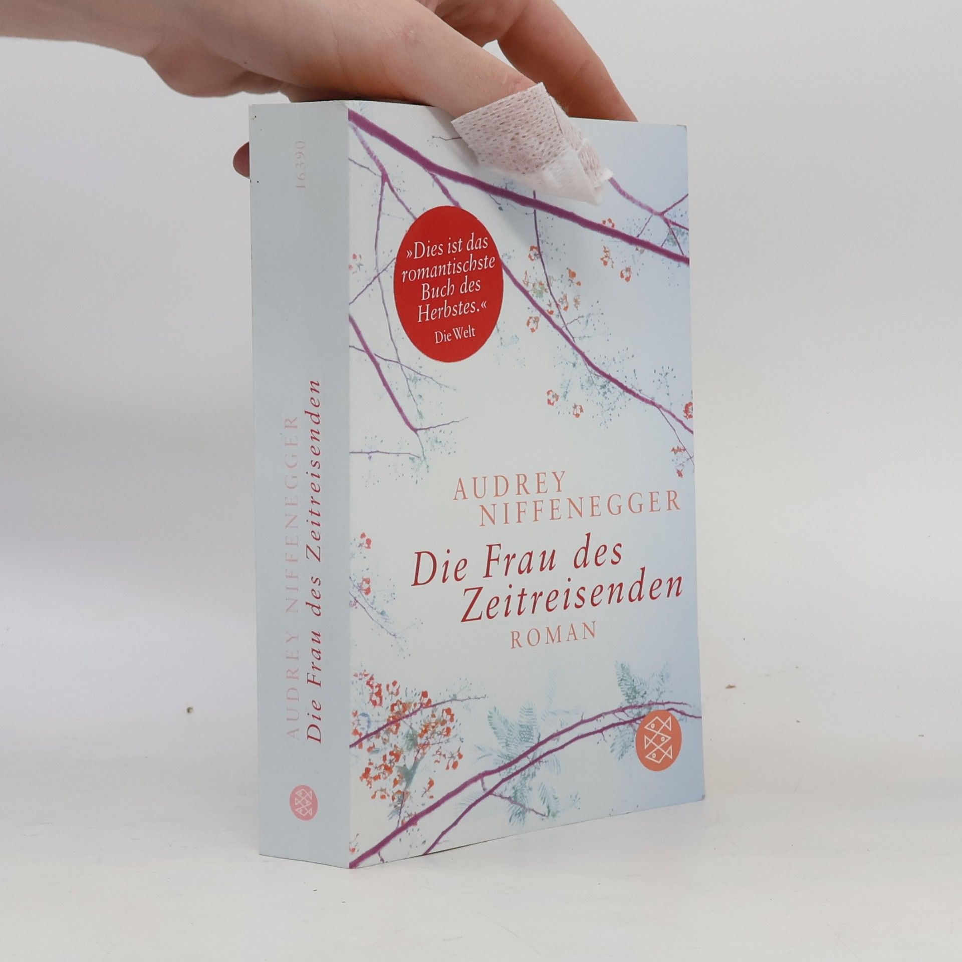 Audrey Niffenegger Die Frau des Zeitreisenden